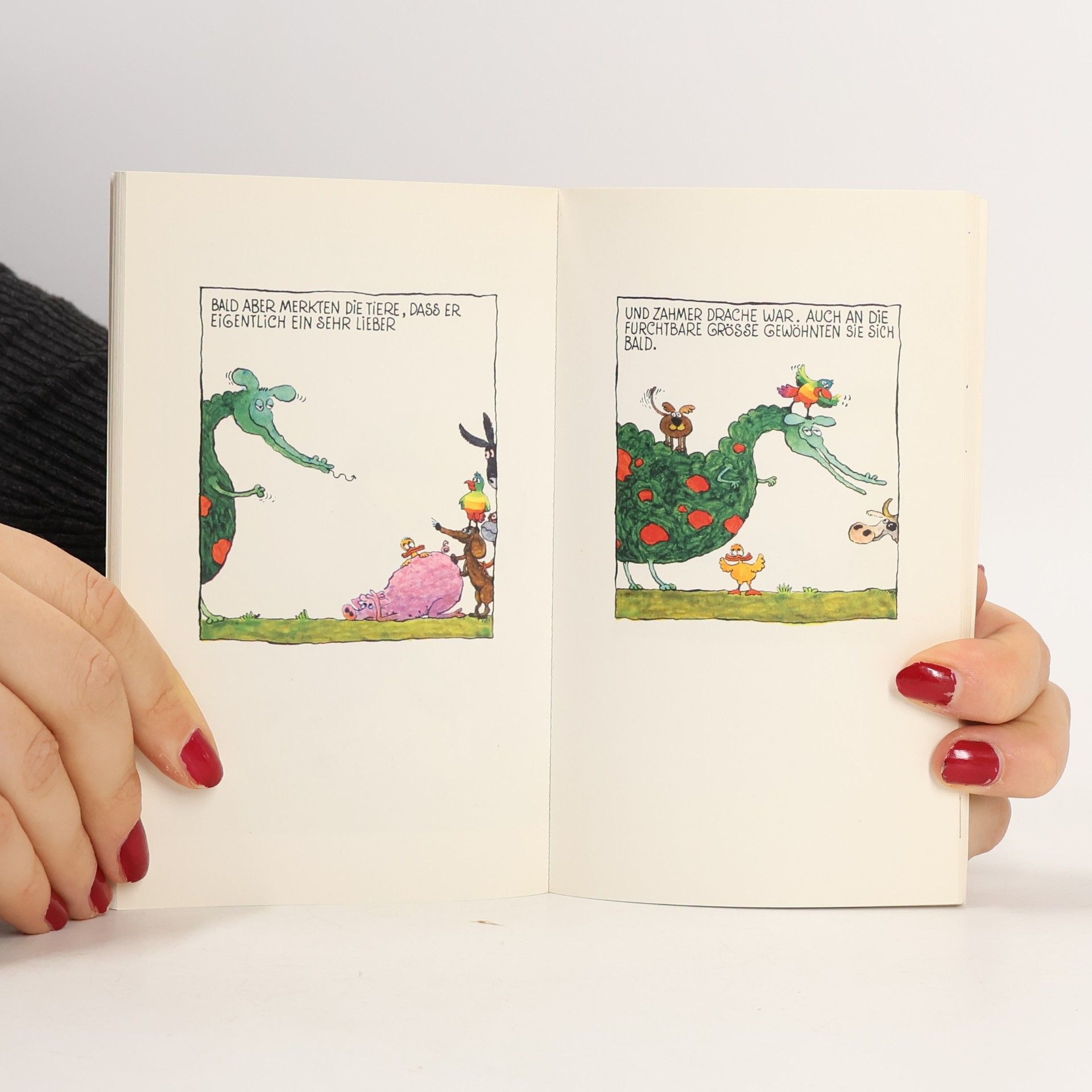 Walter Schmögner Das Drachenbuch