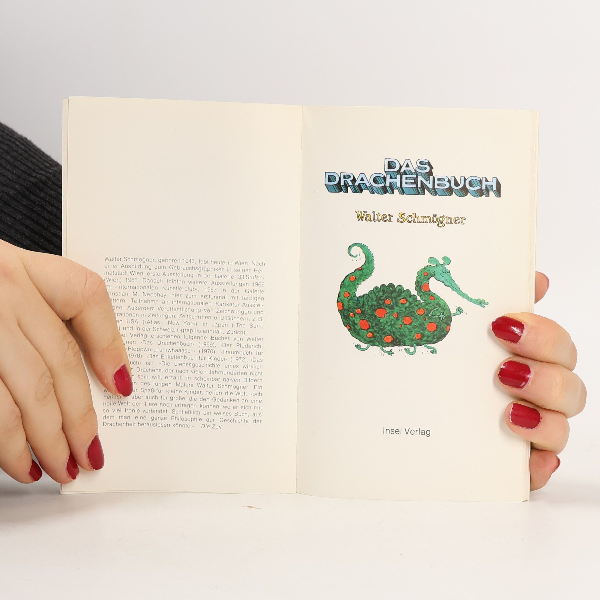 Walter Schmögner Das Drachenbuch