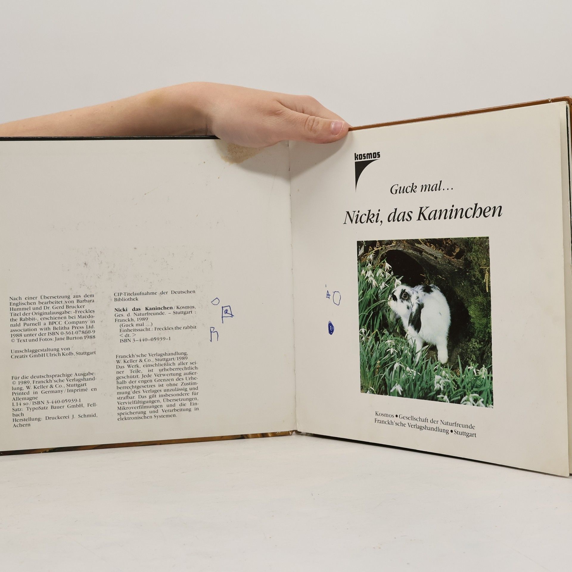 Jane Burton Nicki, das Kaninchen