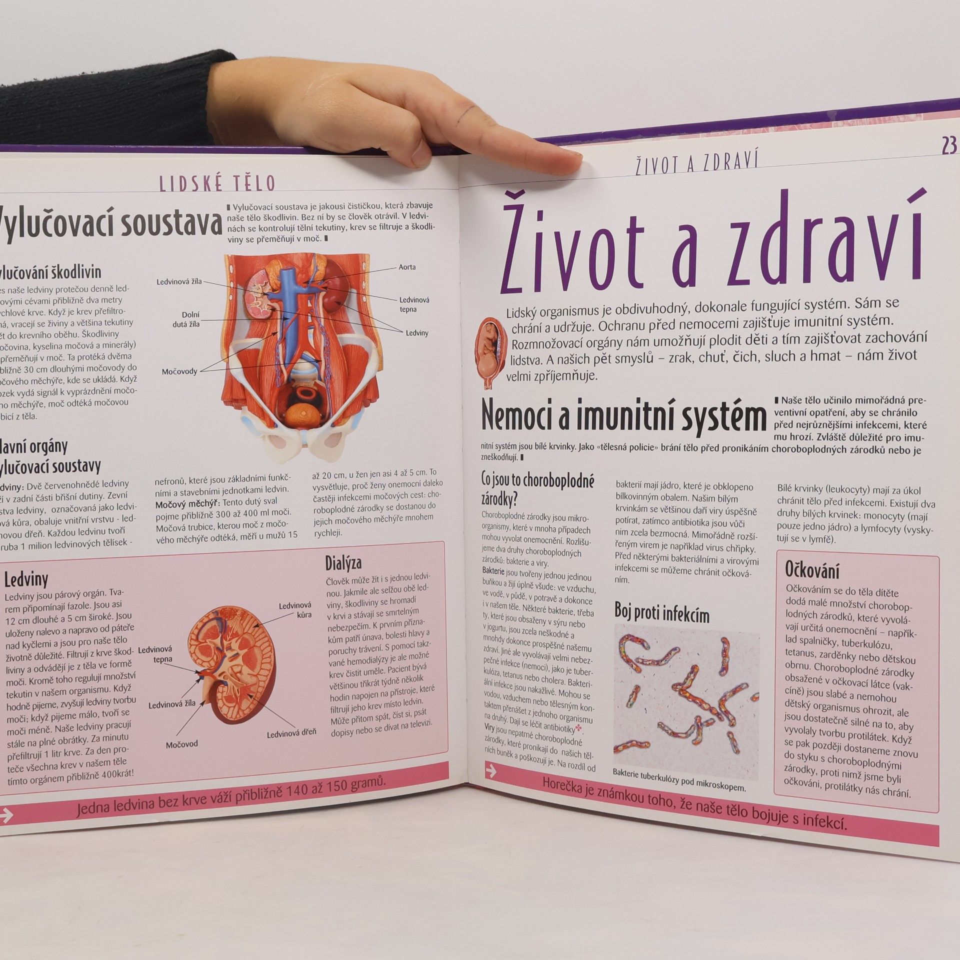 Kolektiv autorů Atlas pro mládež. Lidské tělo