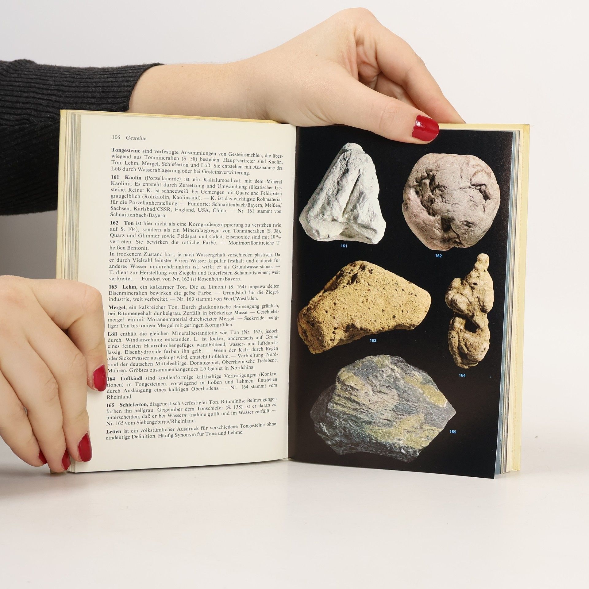 Walter Schumann Stein + Mineralien