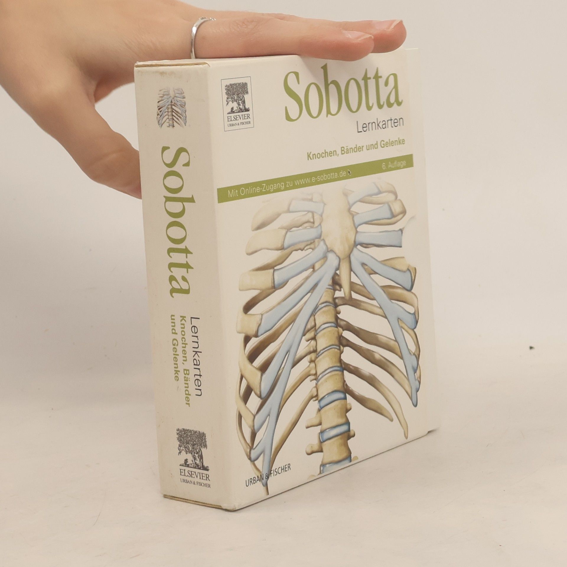Sobotta - Lernkarten