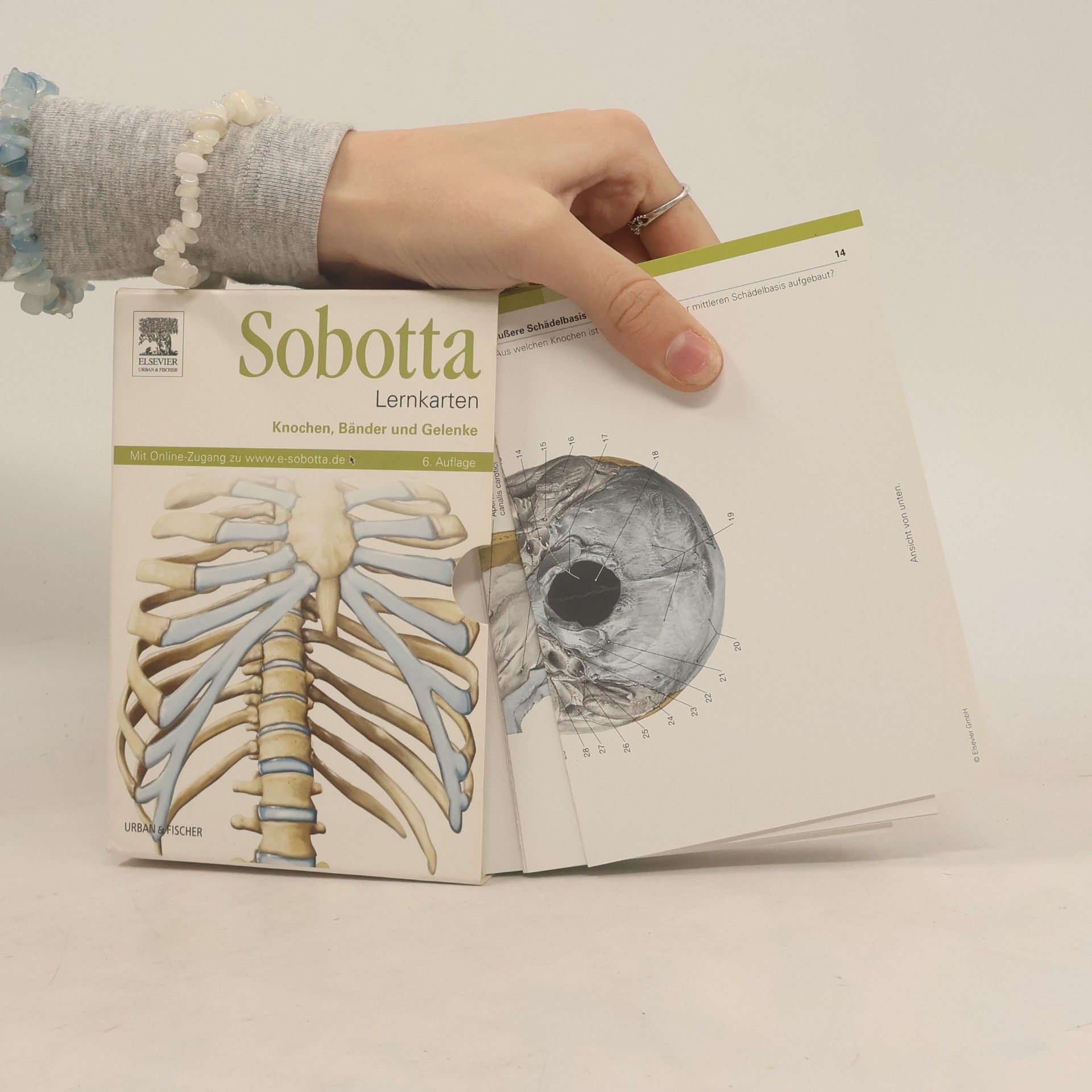 Sobotta - Lernkarten