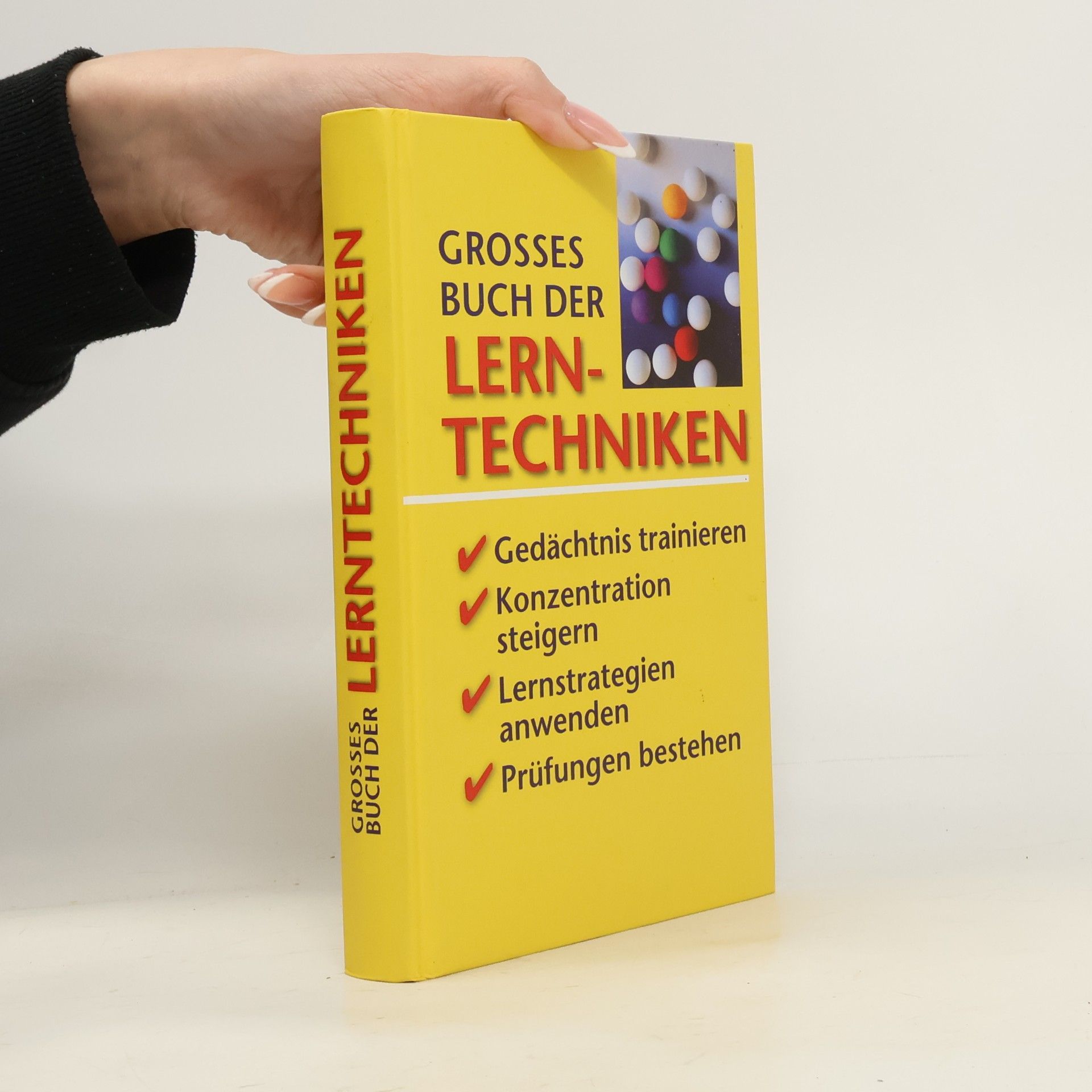 Kolektiv autorů Grosses Buch der Lerntechniken