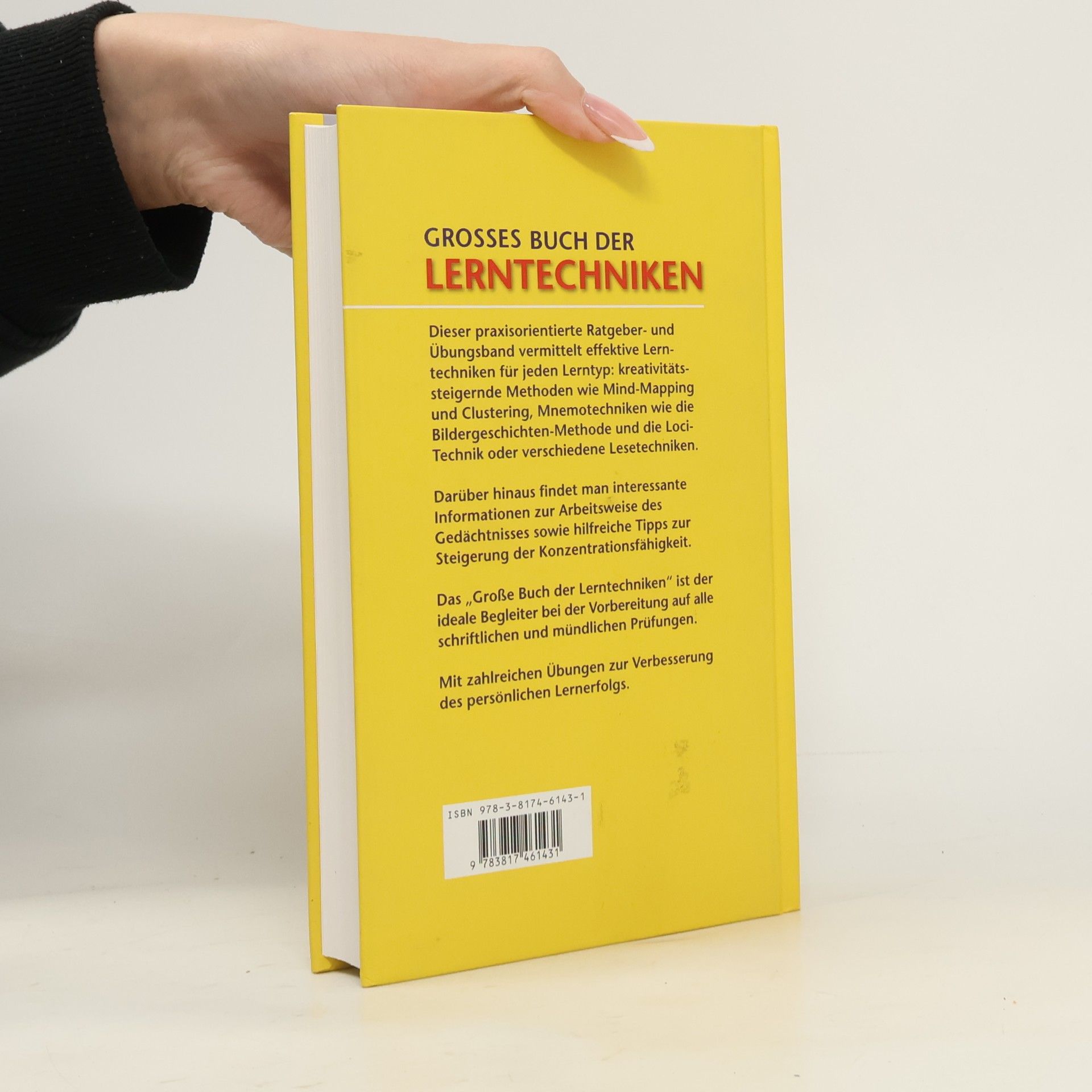 Kolektiv autorů Grosses Buch der Lerntechniken