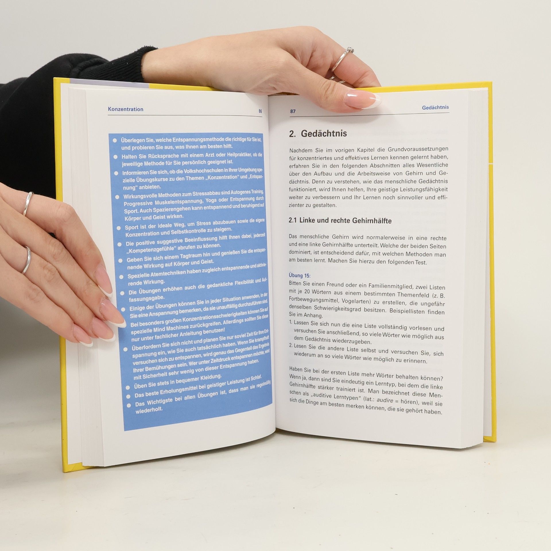 Kolektiv autorů Grosses Buch der Lerntechniken