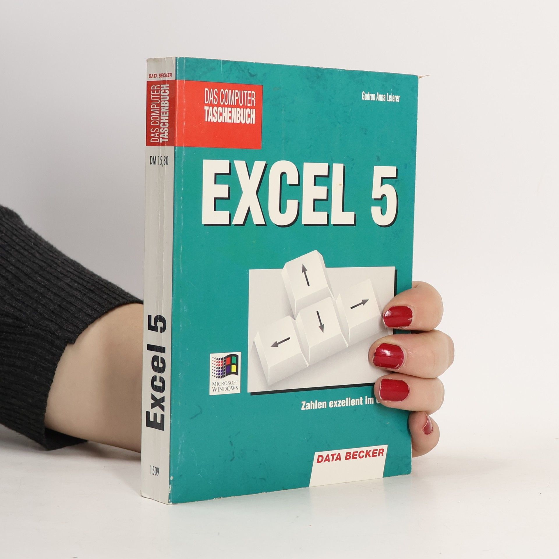 Gudrun Anna Leierer Das Computer Taschenbuch: Excel 5