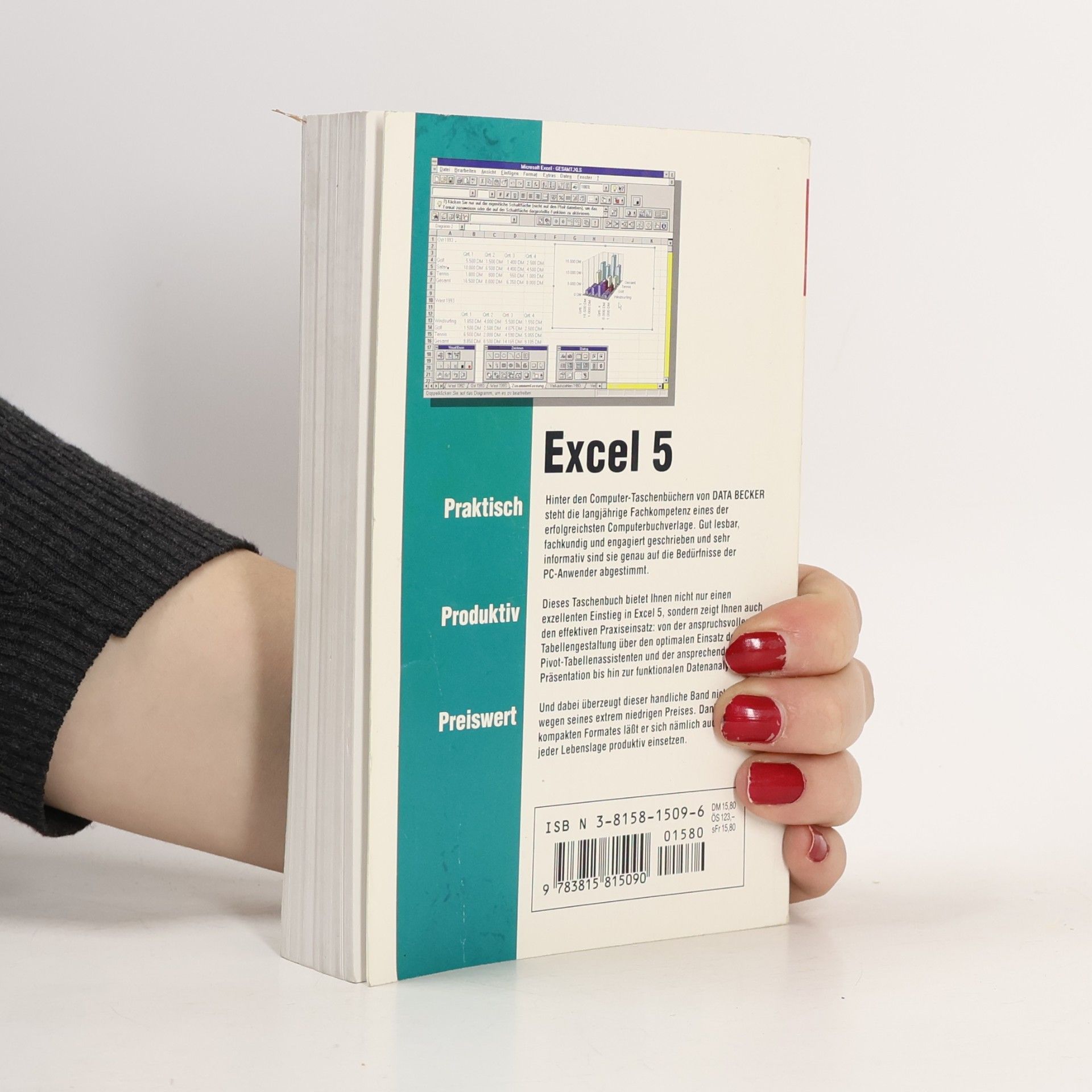 Gudrun Anna Leierer Das Computer Taschenbuch: Excel 5