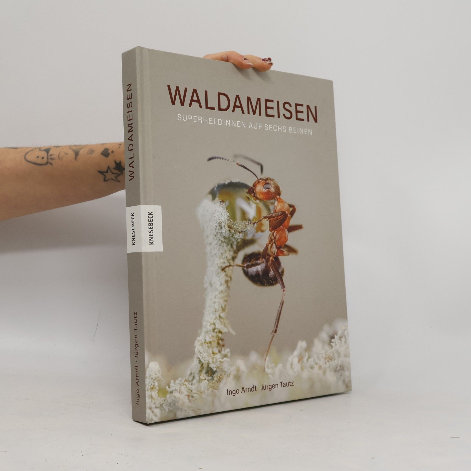 Waldameisen