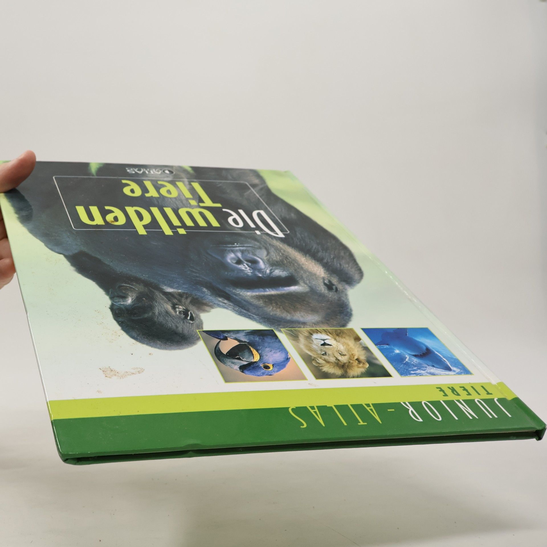 Kolektív autorov Die wilden Tiere