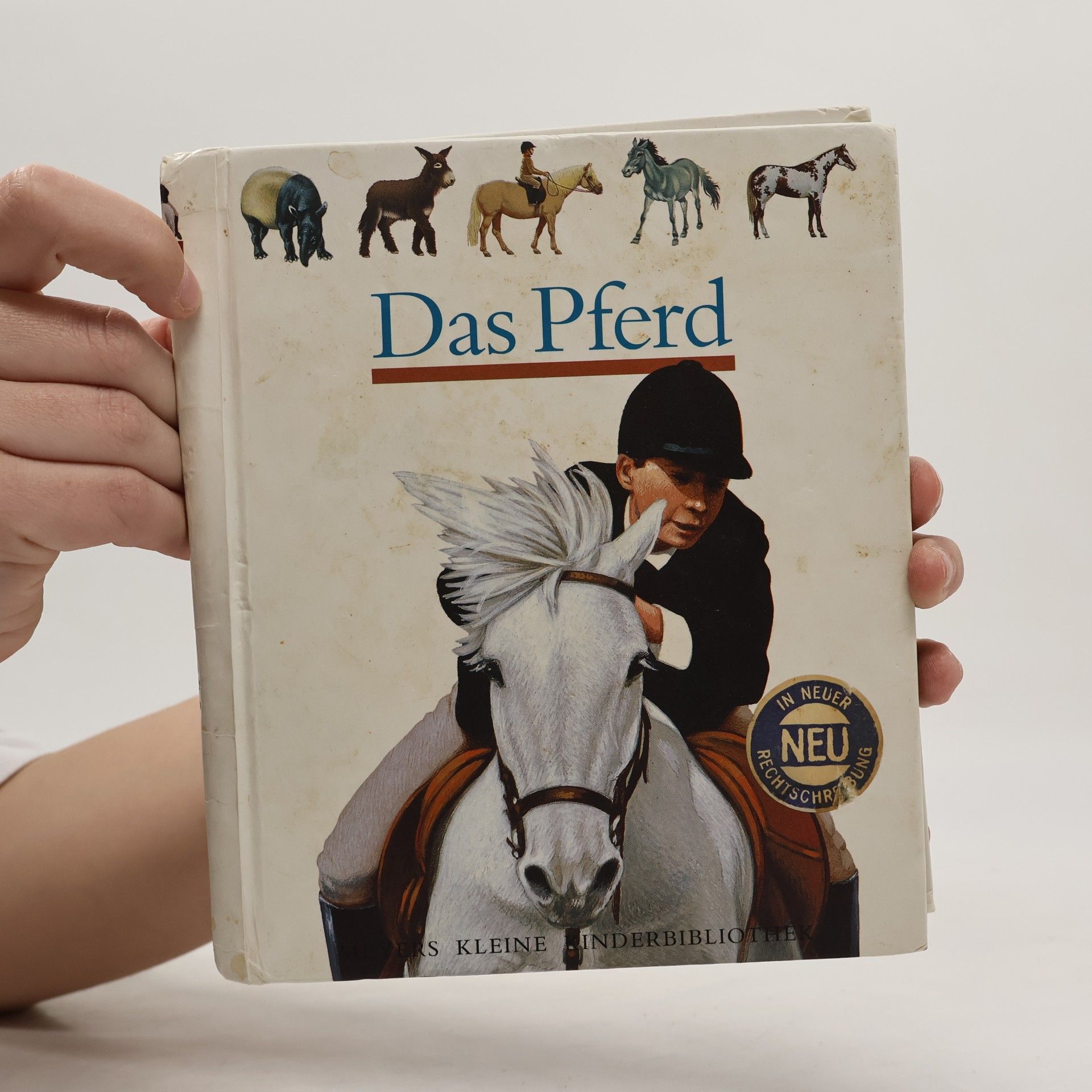 Henri Galeron Das Pferd