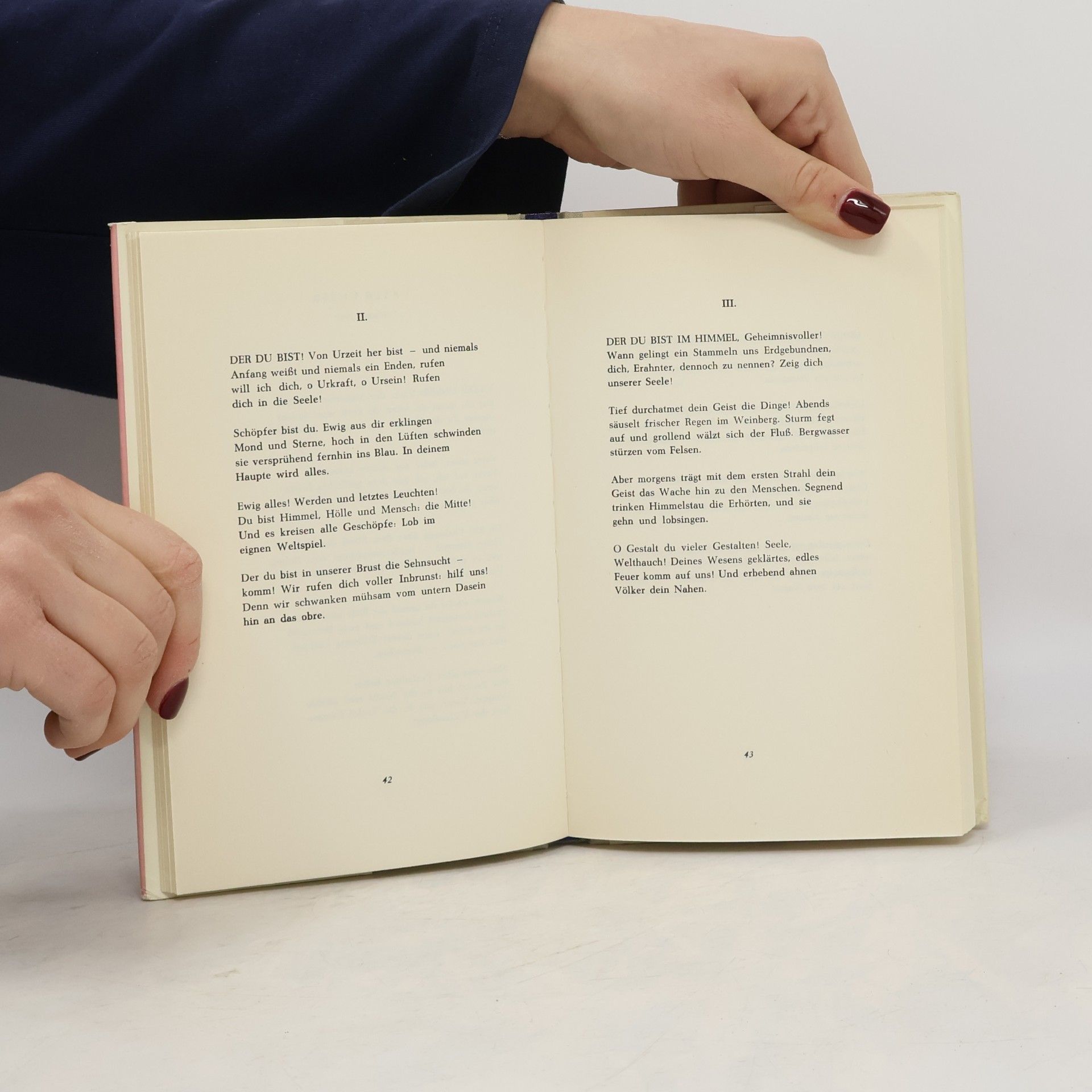 Hermann Kuprian Der blaue spiegel