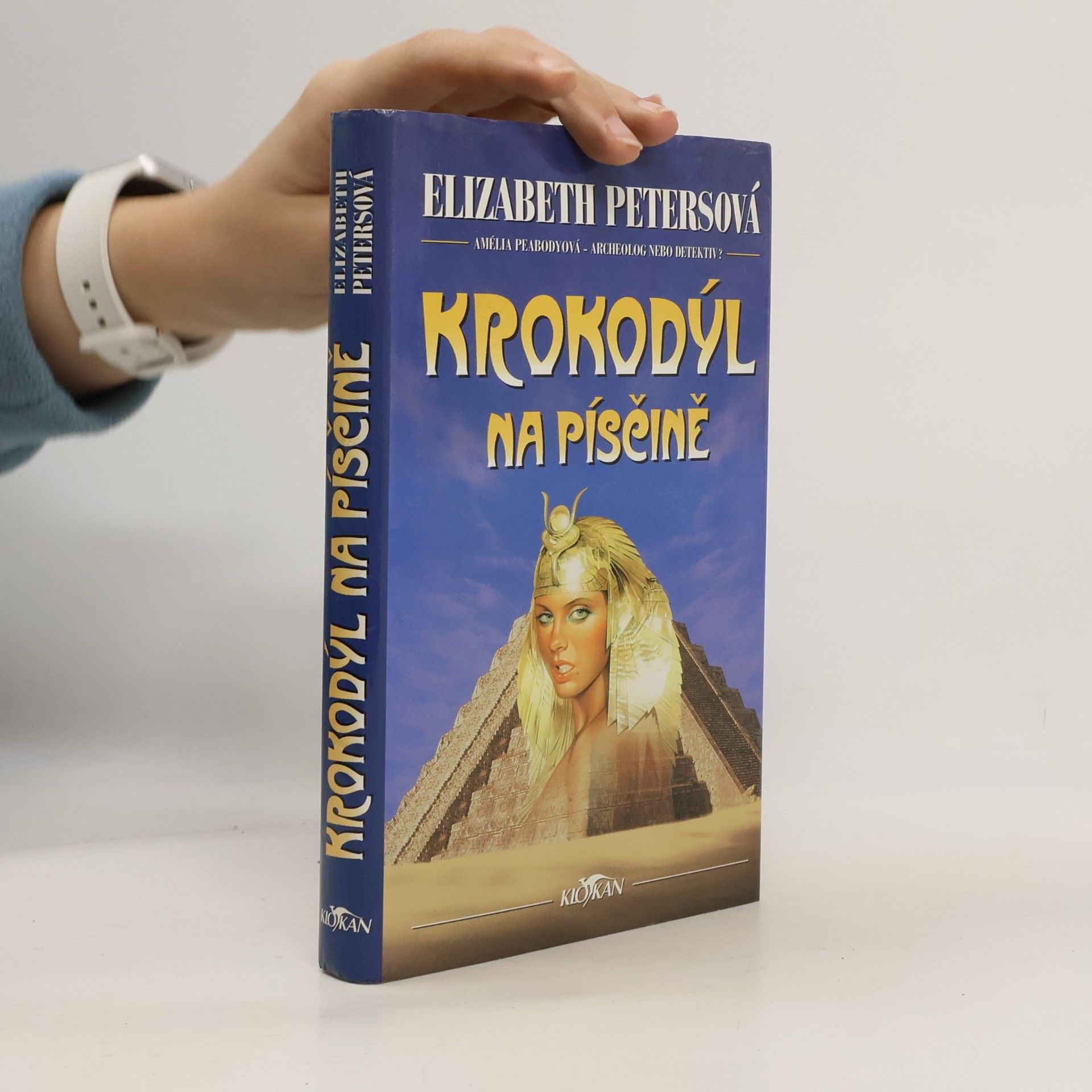 Krokodýl na písčině