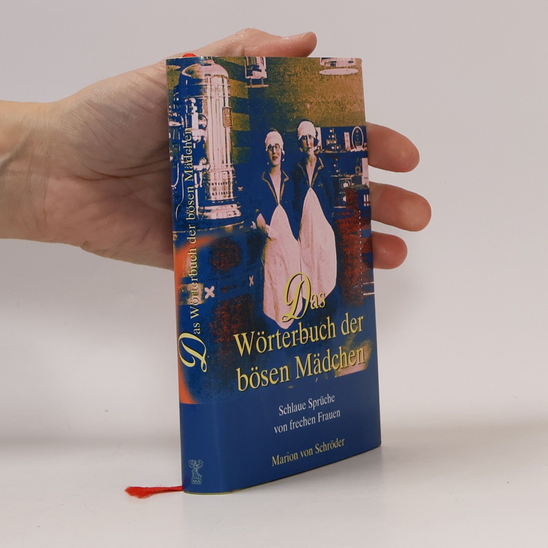 Das Wörterbuch der bösen Mädchen