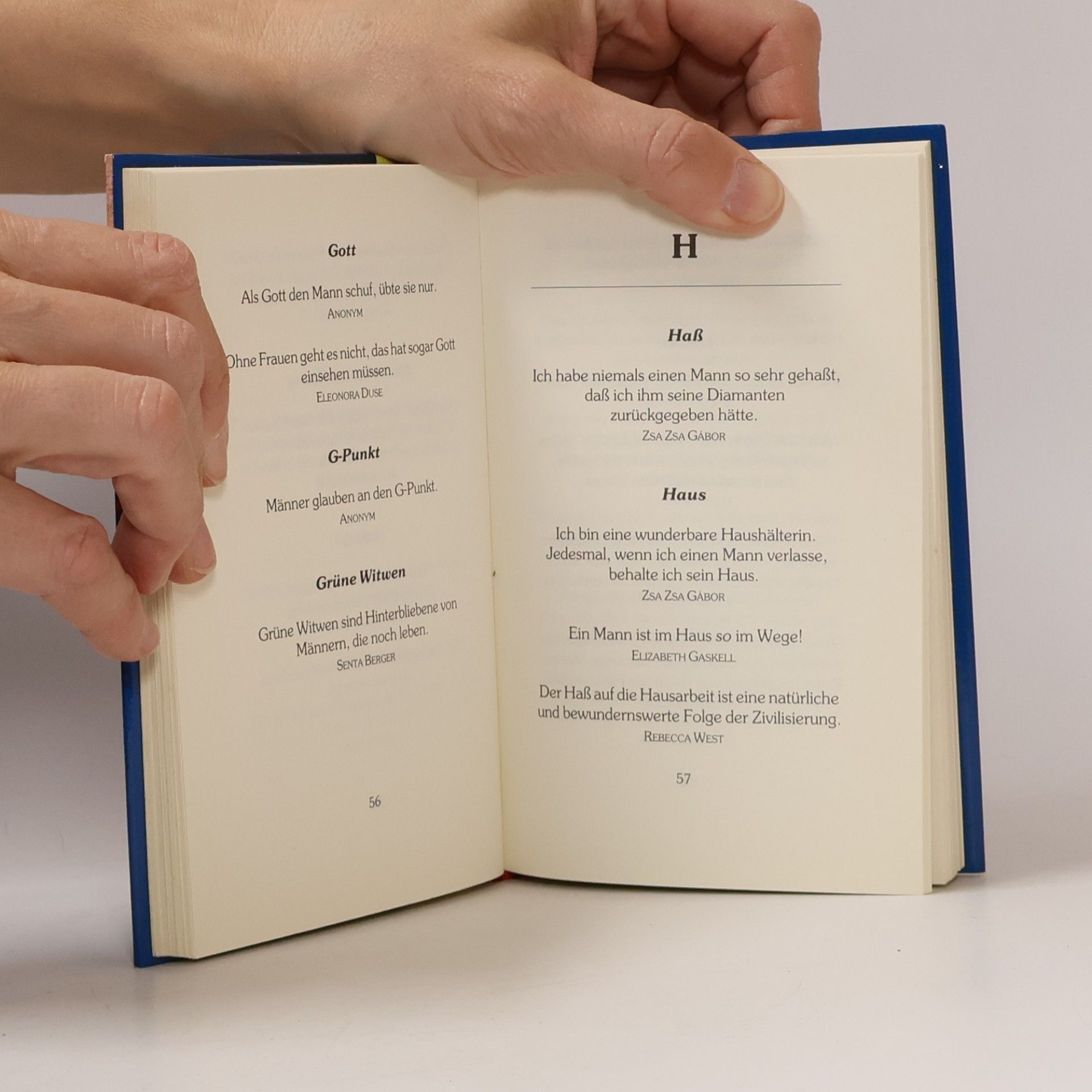 Tania Schlie Das Wörterbuch der bösen Mädchen