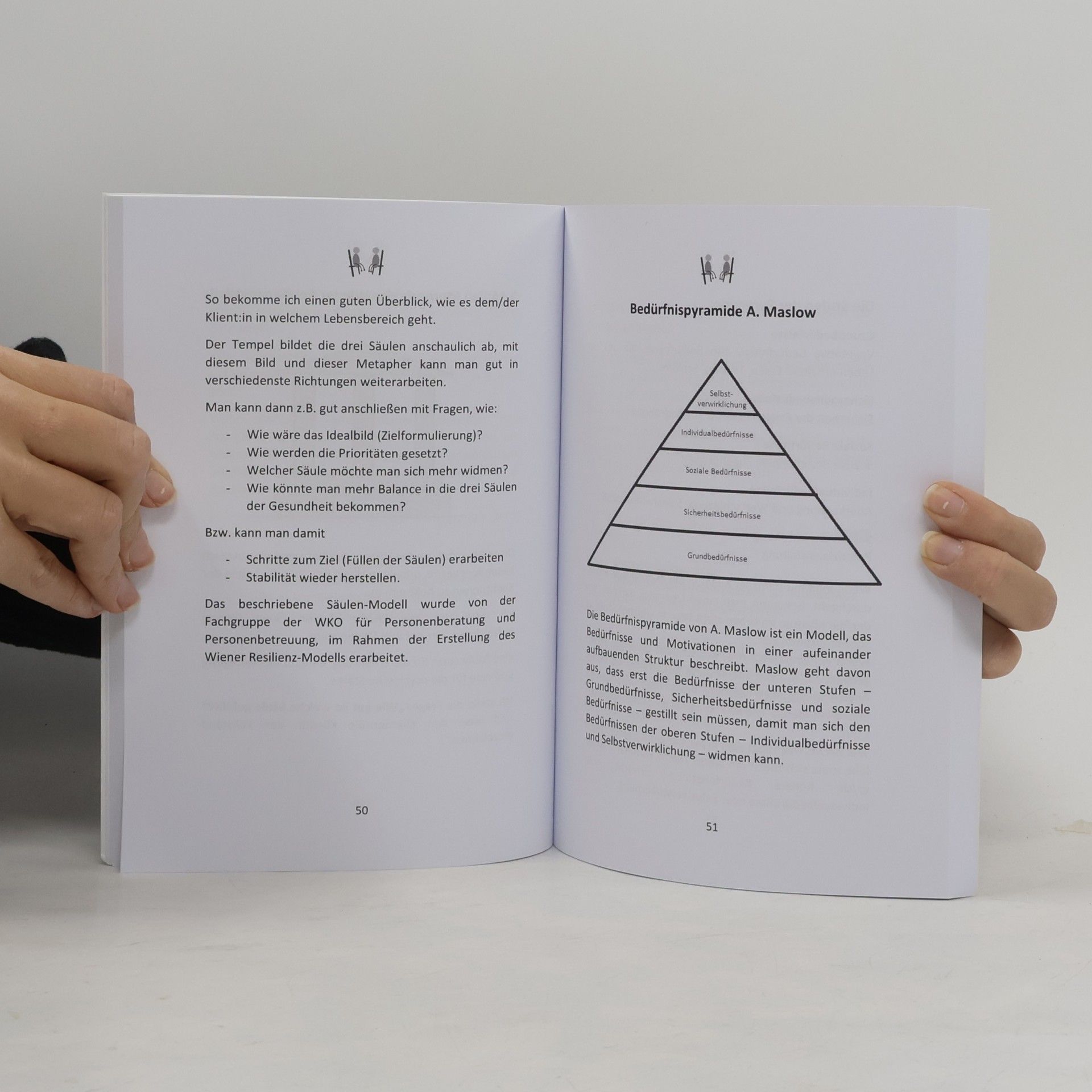 Anna Baschinger How to LSB