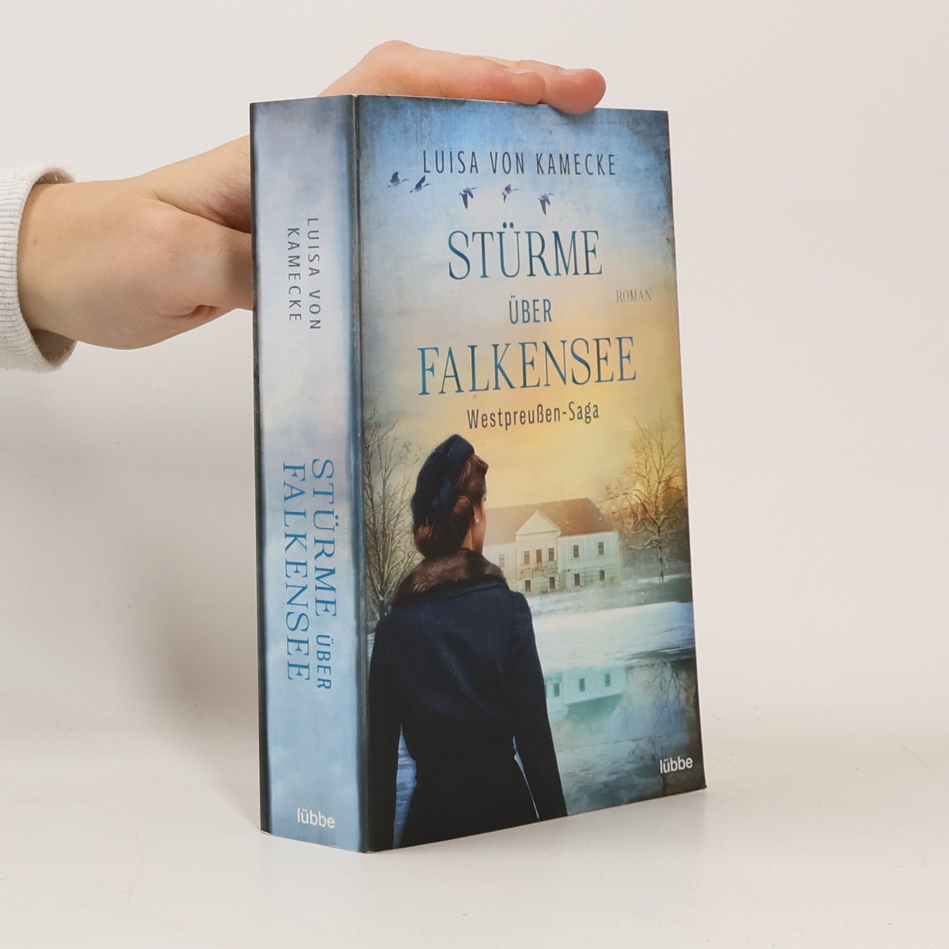 Stürme über Falkensee