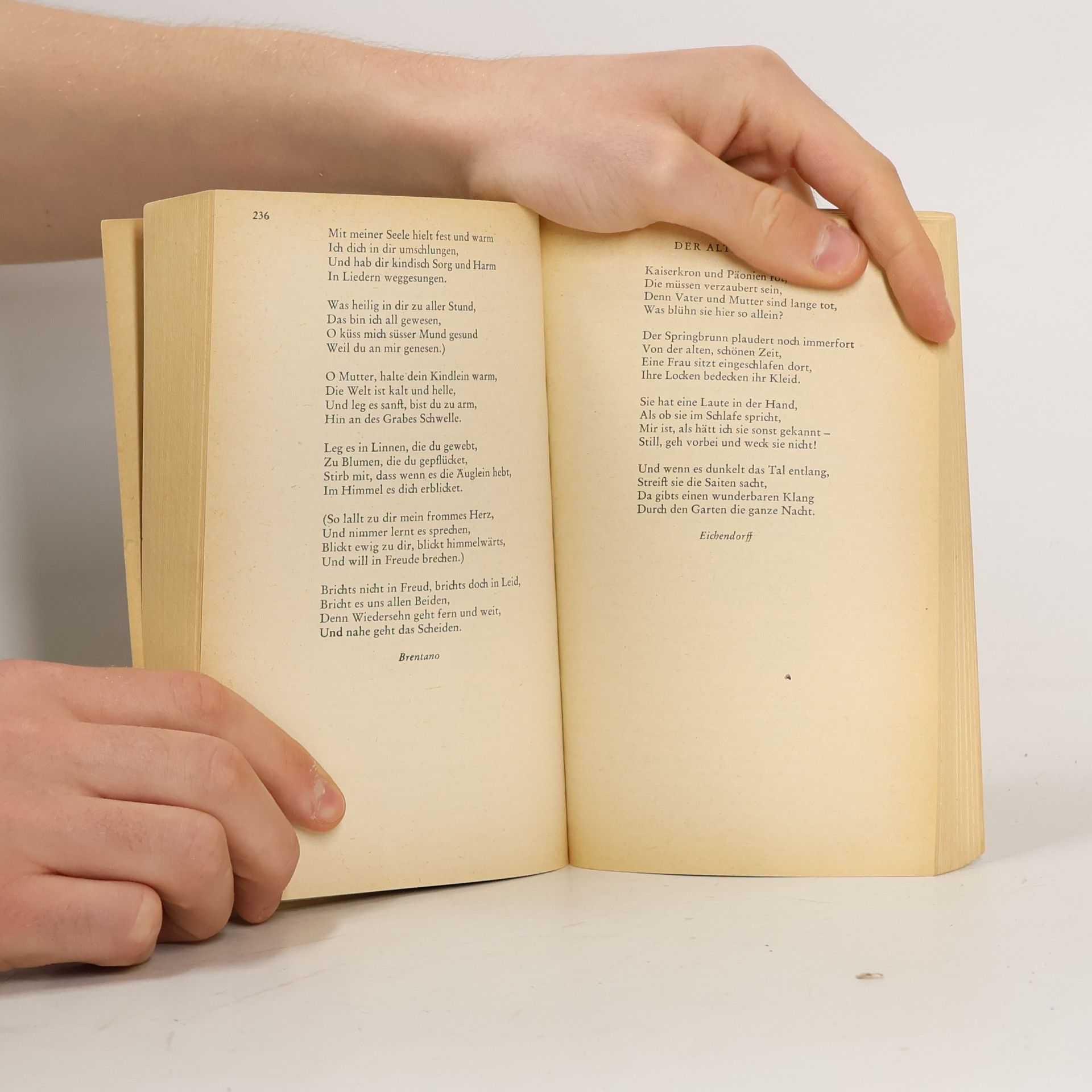 Rudolf Borchardt Ewiger Vorrat deutscher Poesie