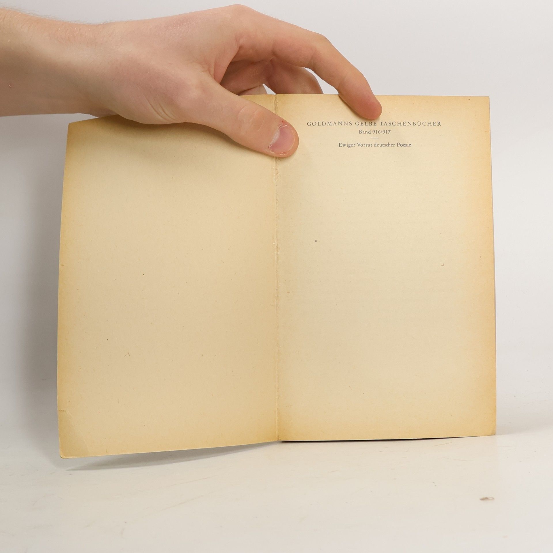 Rudolf Borchardt Ewiger Vorrat deutscher Poesie