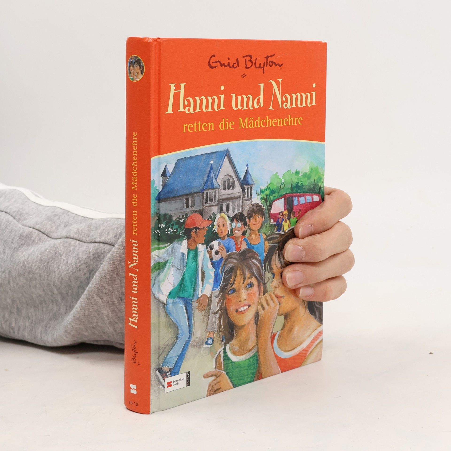 Enid Blyton Hanni und Nanni retten die Mädchenehre
