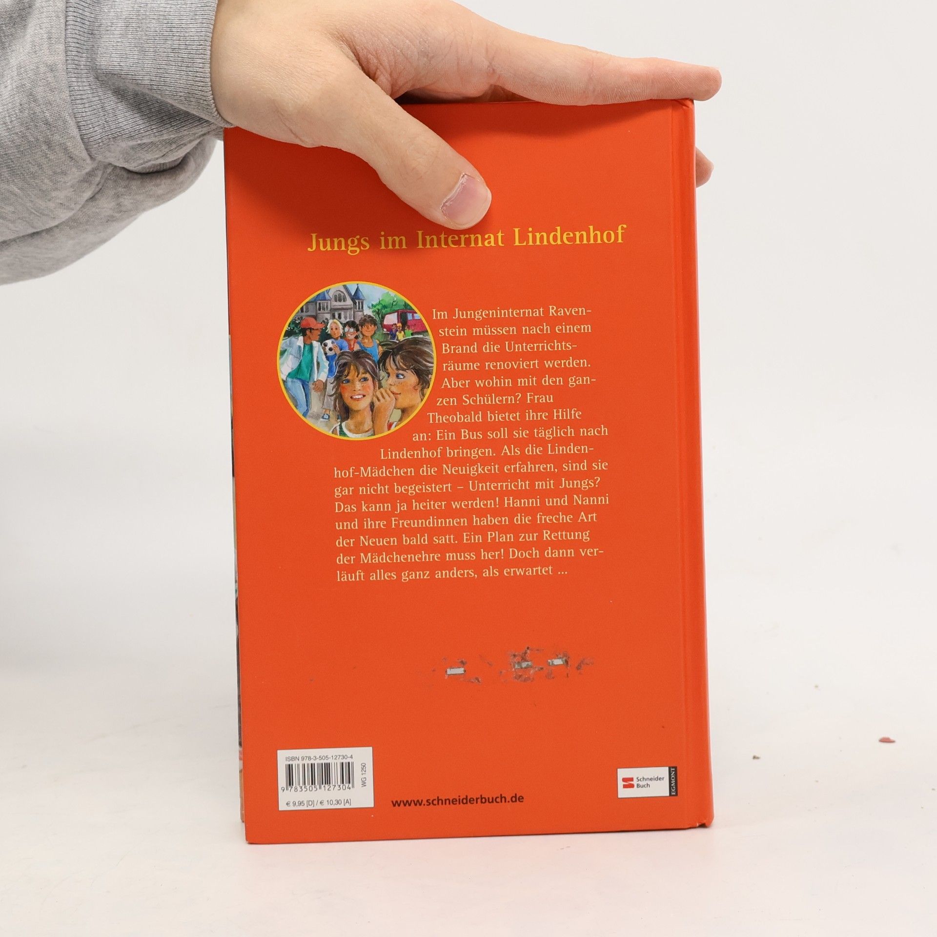 Enid Blyton Hanni und Nanni retten die Mädchenehre