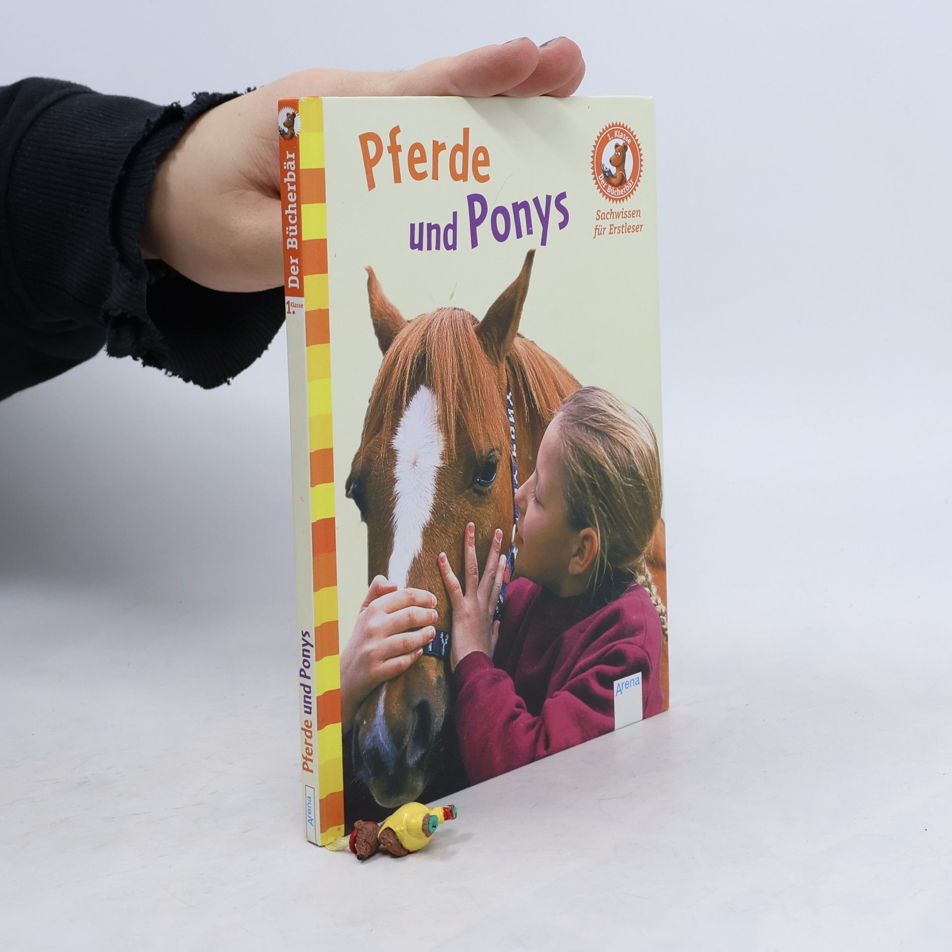 Pferde und Ponys