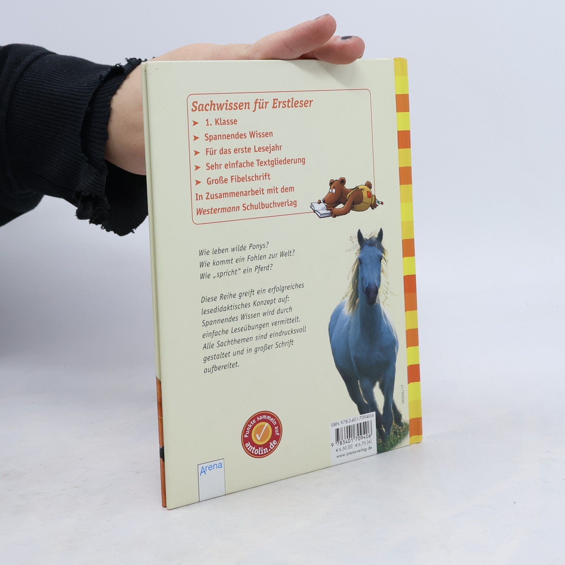 Anna Milbourne Pferde und Ponys