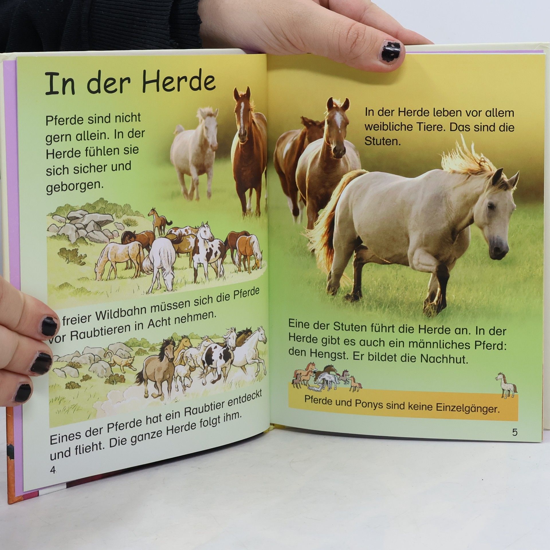 Anna Milbourne Pferde und Ponys