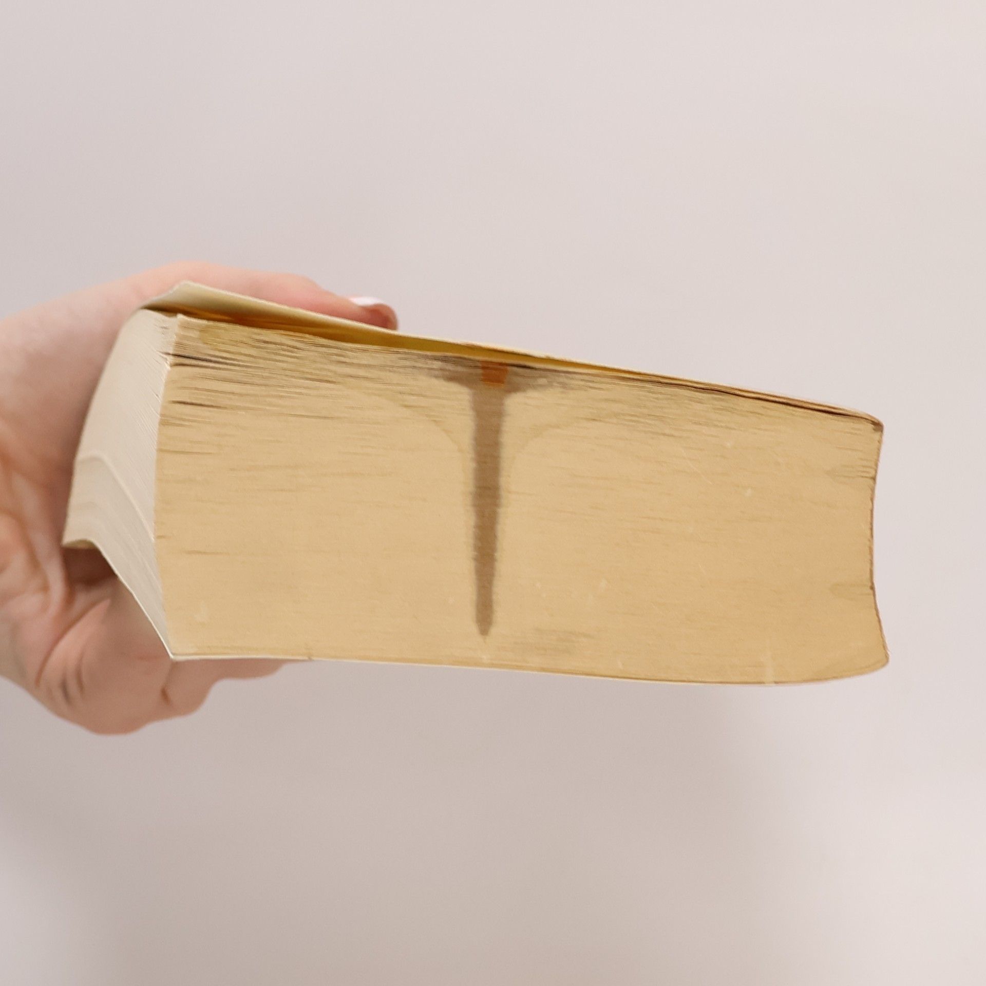 Louise J. Kaplan Weibliche Perversionen