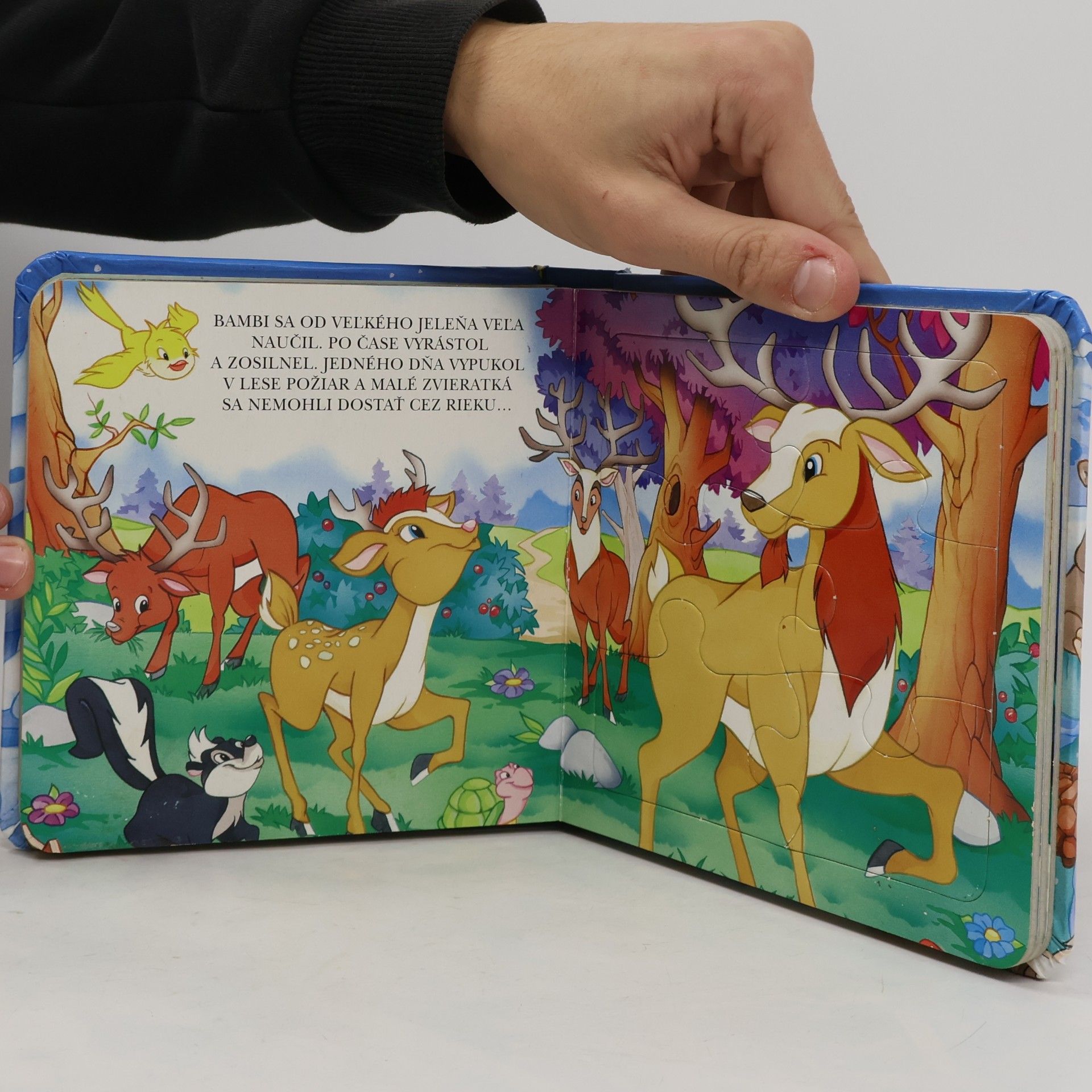 kolektiv Bambi
