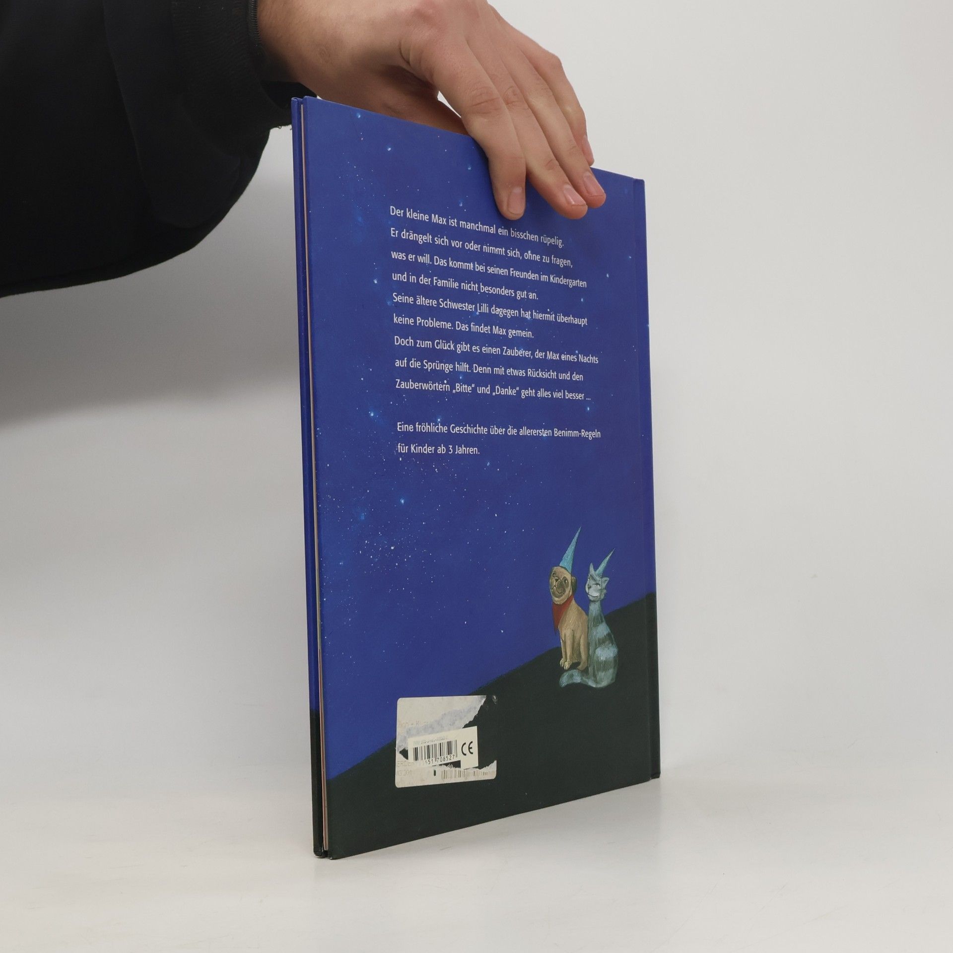 Friederun Reichenstetter Max und der Bitte-Danke-Zauberer