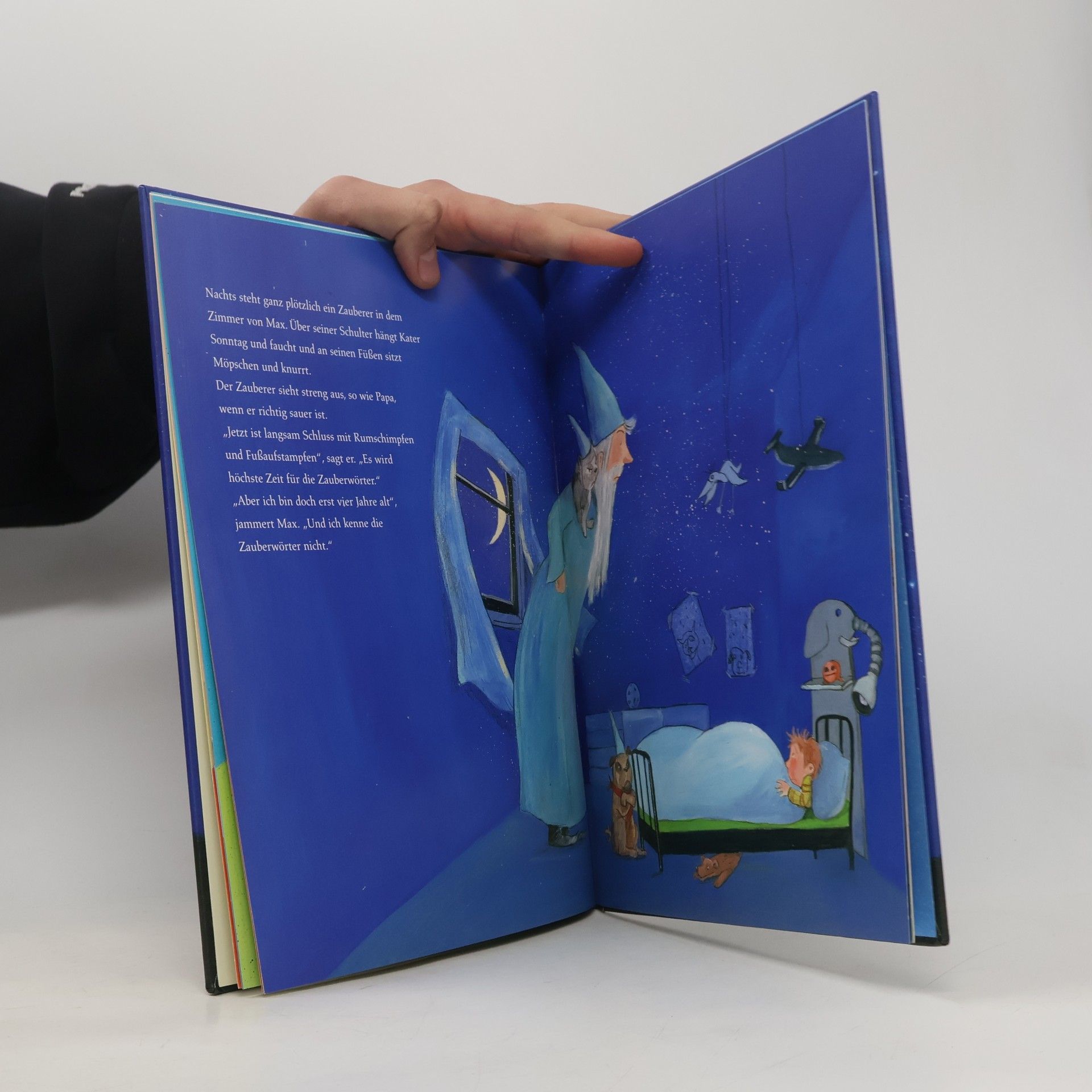 Friederun Reichenstetter Max und der Bitte-Danke-Zauberer
