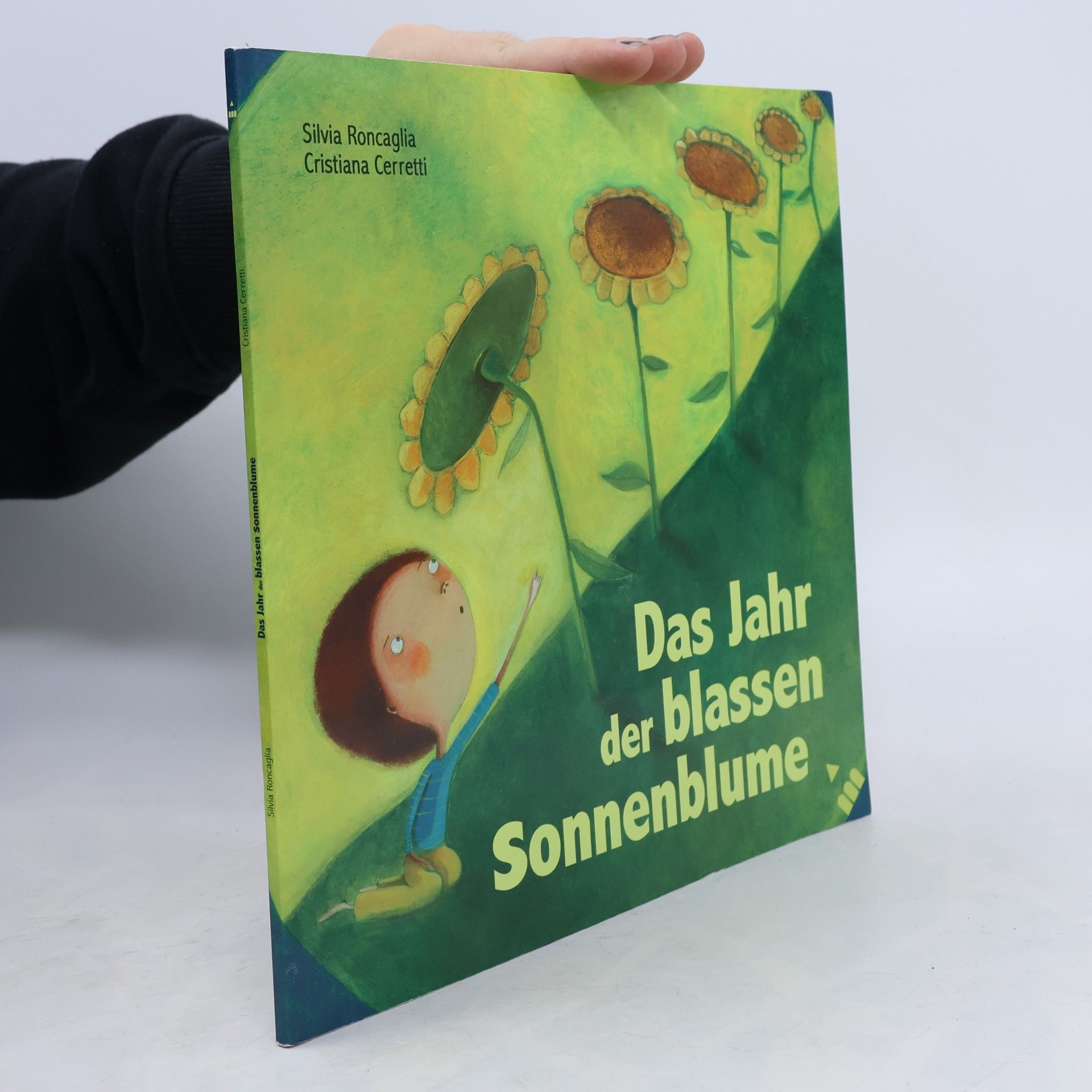 Silvia Roncaglia Das Jahr der blassen Sonnenblume