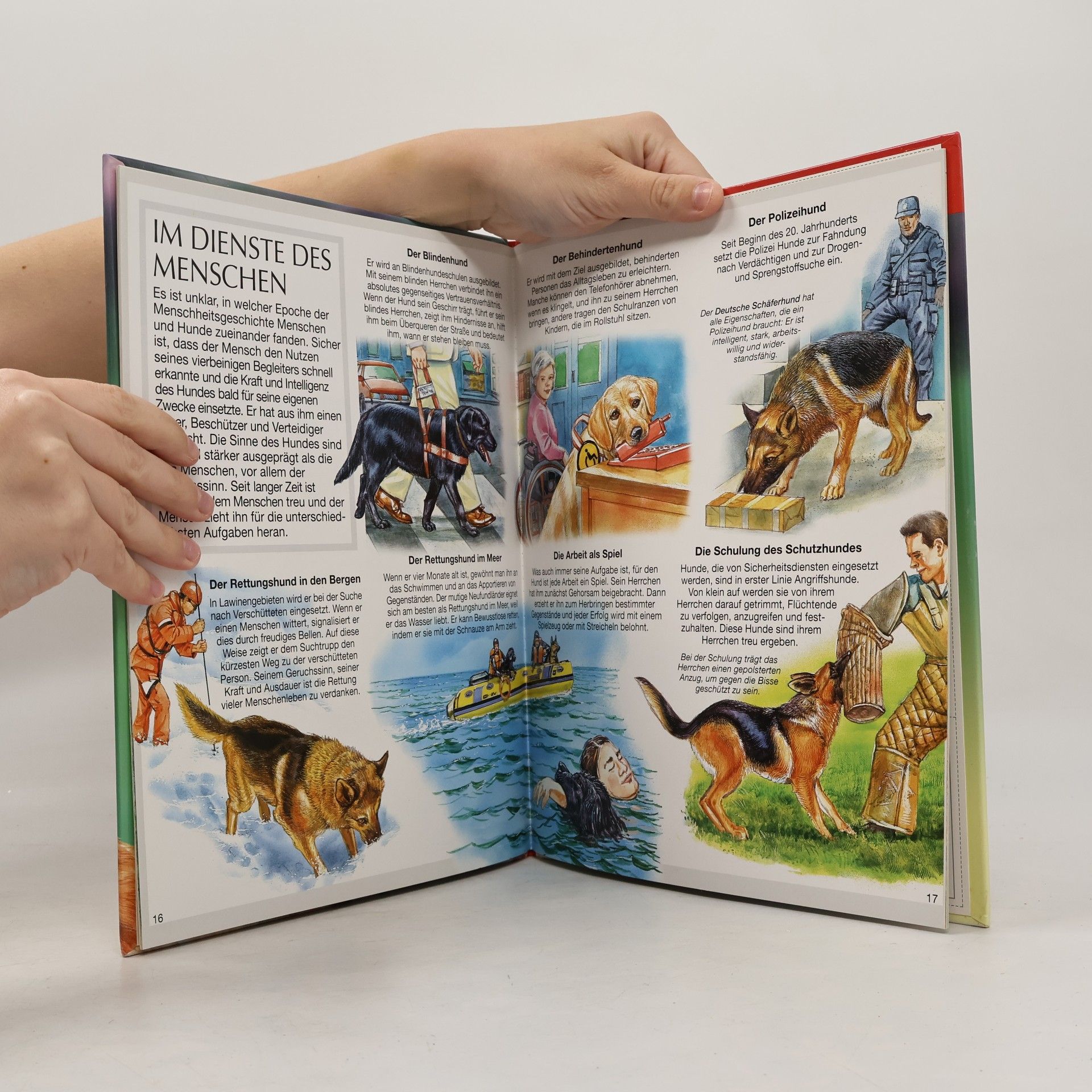 Autorenkollektiv Bunte Wissenswelt für Kinder. Hunde