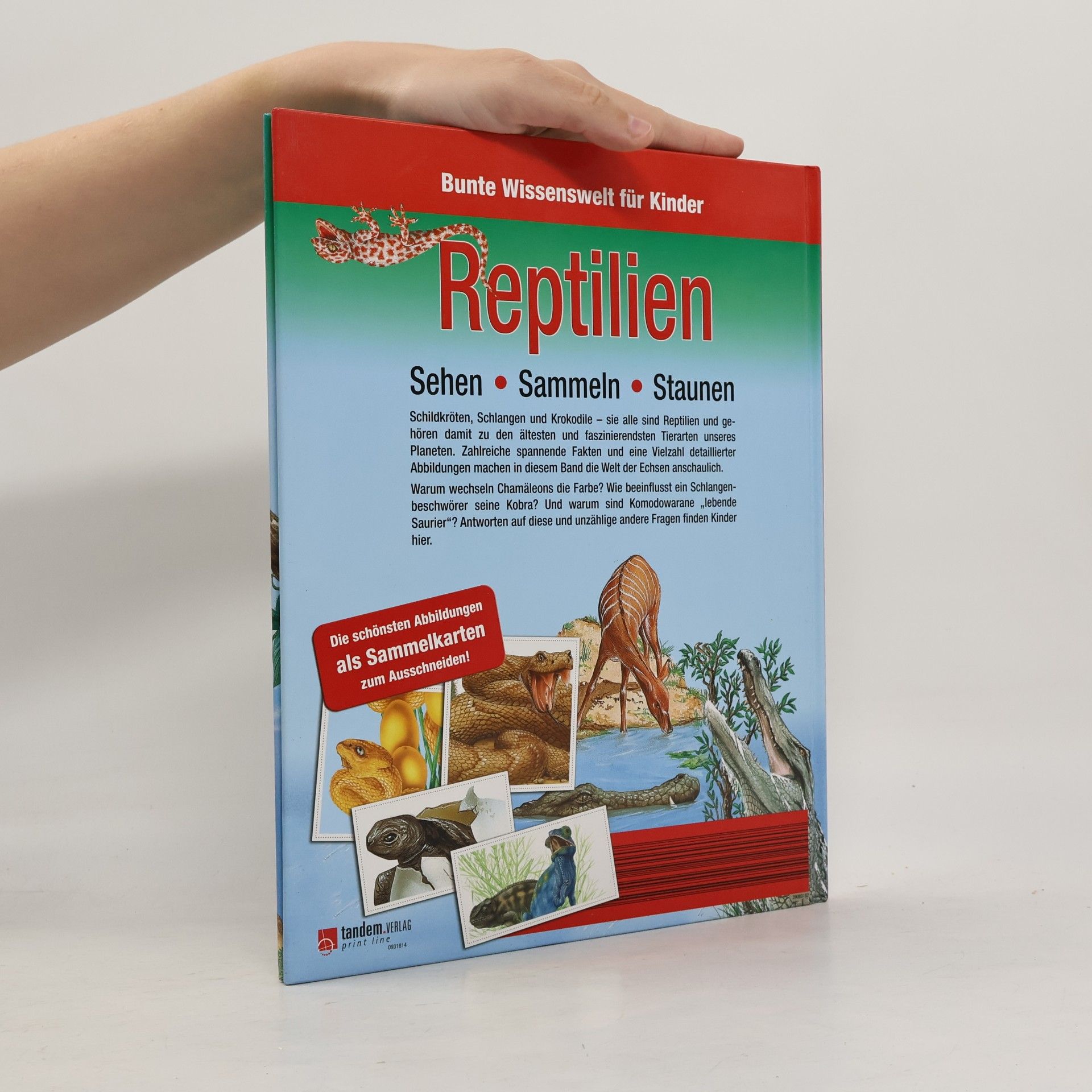 Kolektiv autorů Bunte Wissenswelt für Kinder. Reptilien