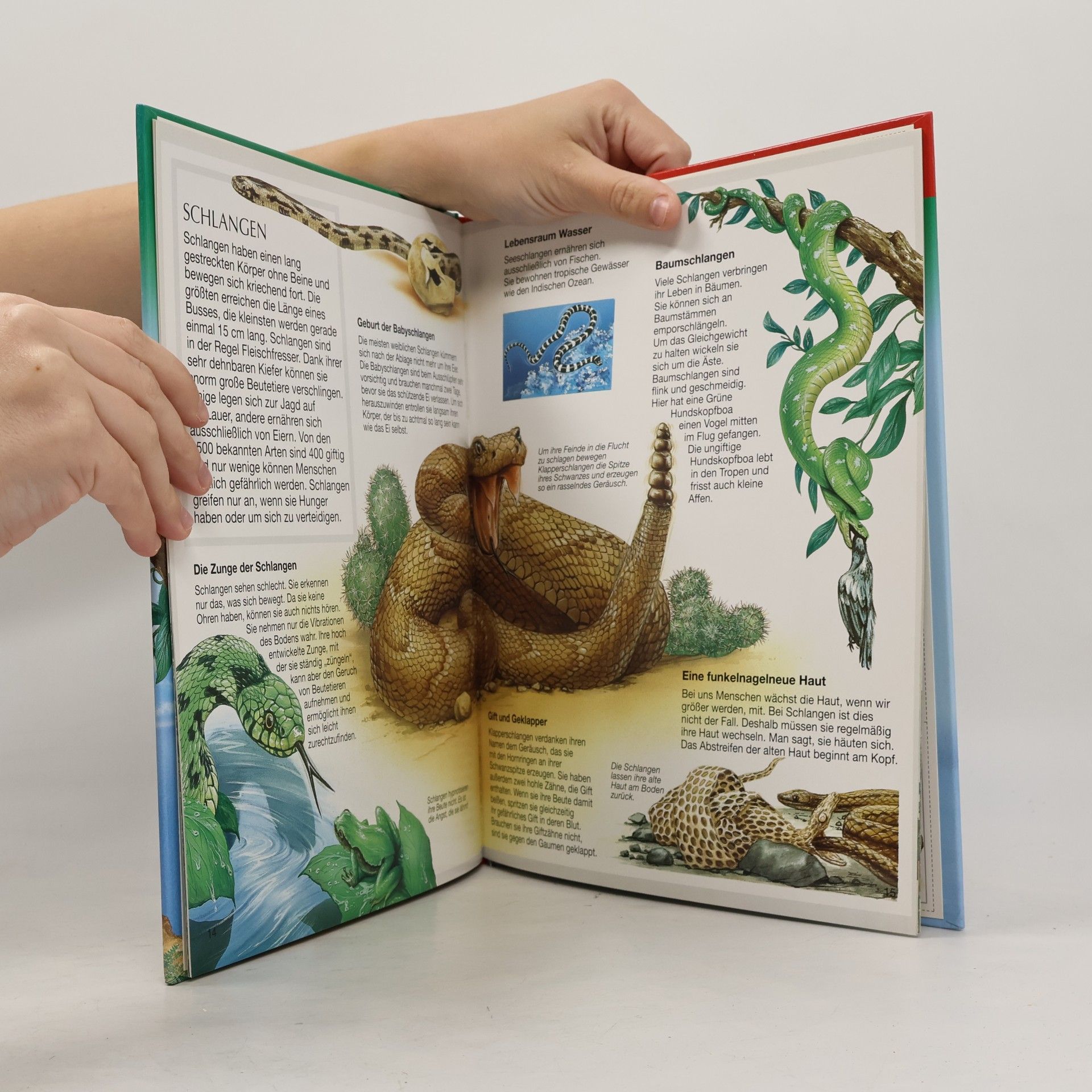 Kolektiv autorů Bunte Wissenswelt für Kinder. Reptilien