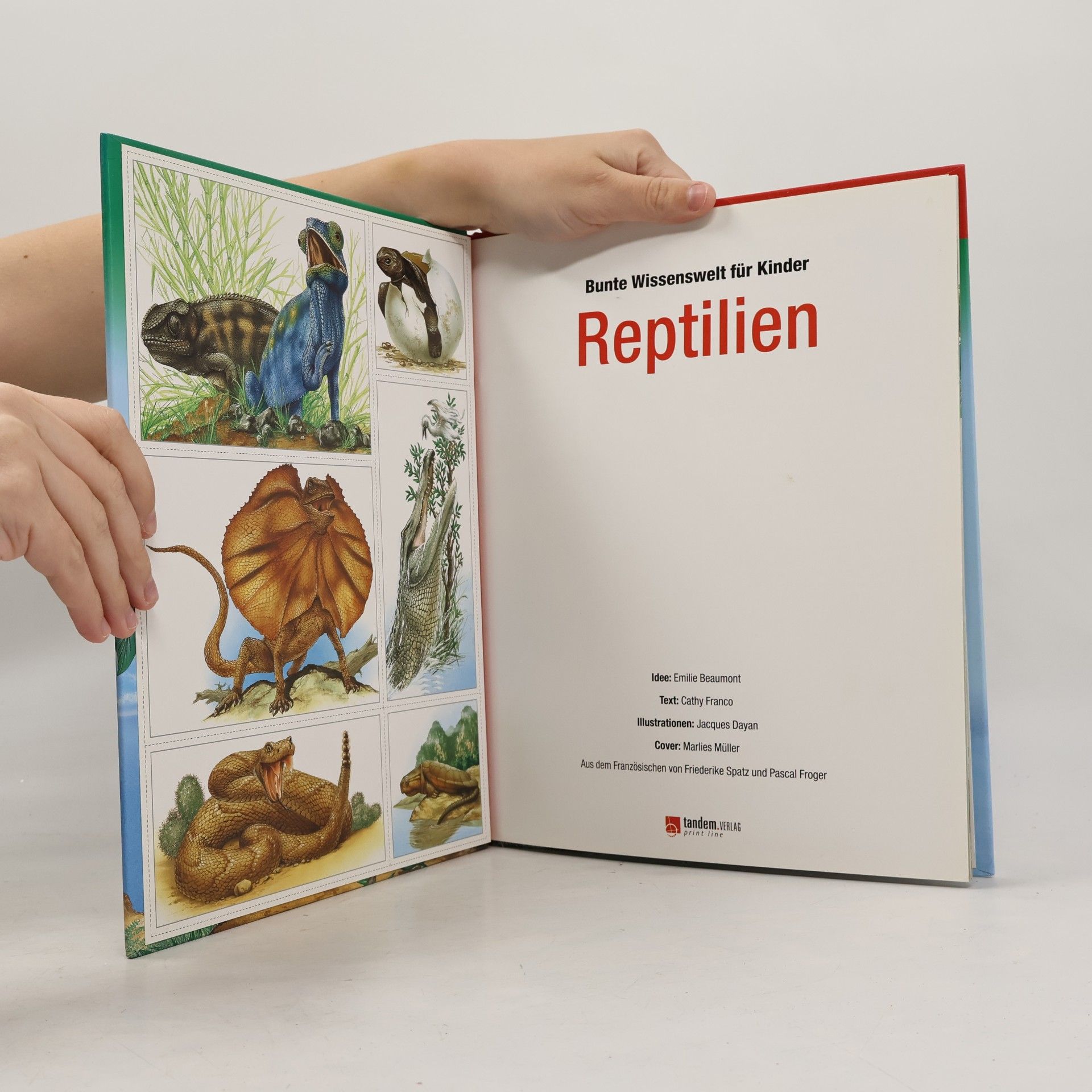 Kolektiv autorů Bunte Wissenswelt für Kinder. Reptilien
