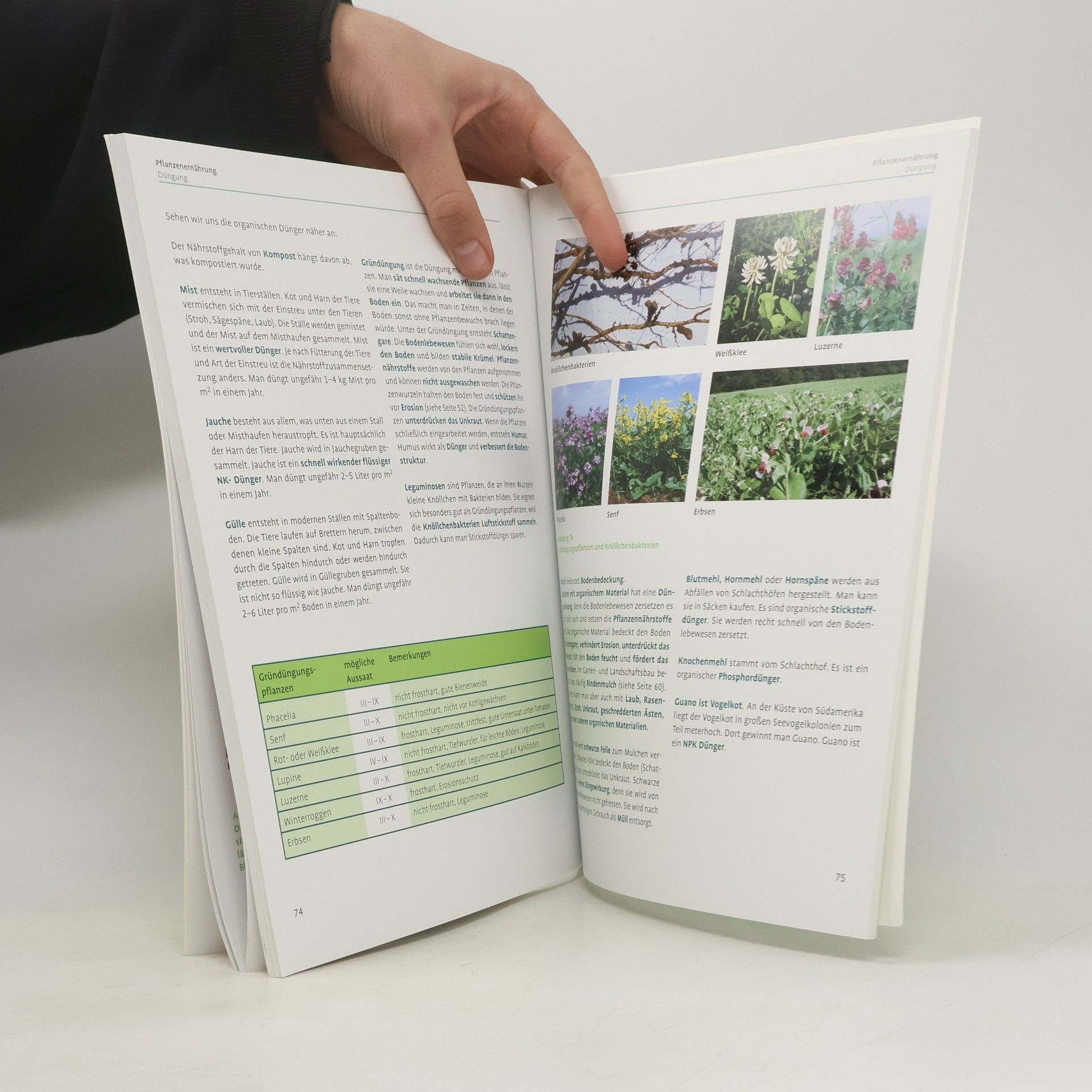 Ortrud Grieb Der Werker. Grundlagen Gartenbau
