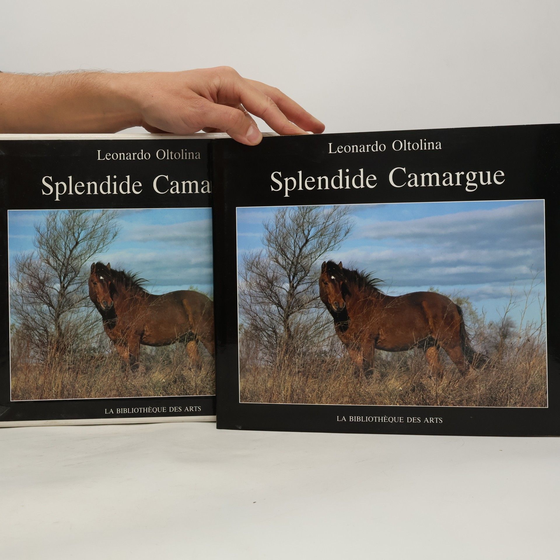 Leonardo Oltolina Splendide Camargue