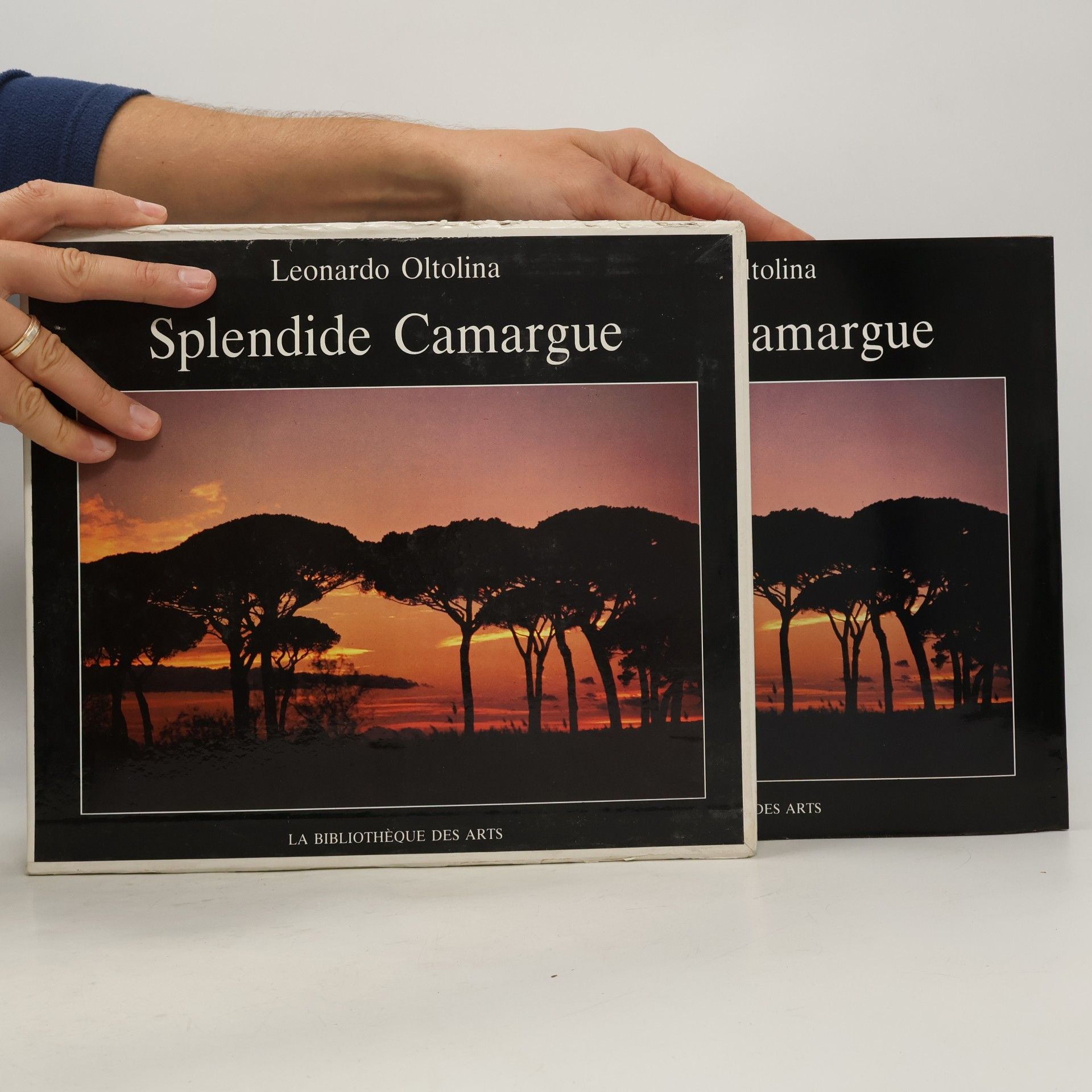 Leonardo Oltolina Splendide Camargue