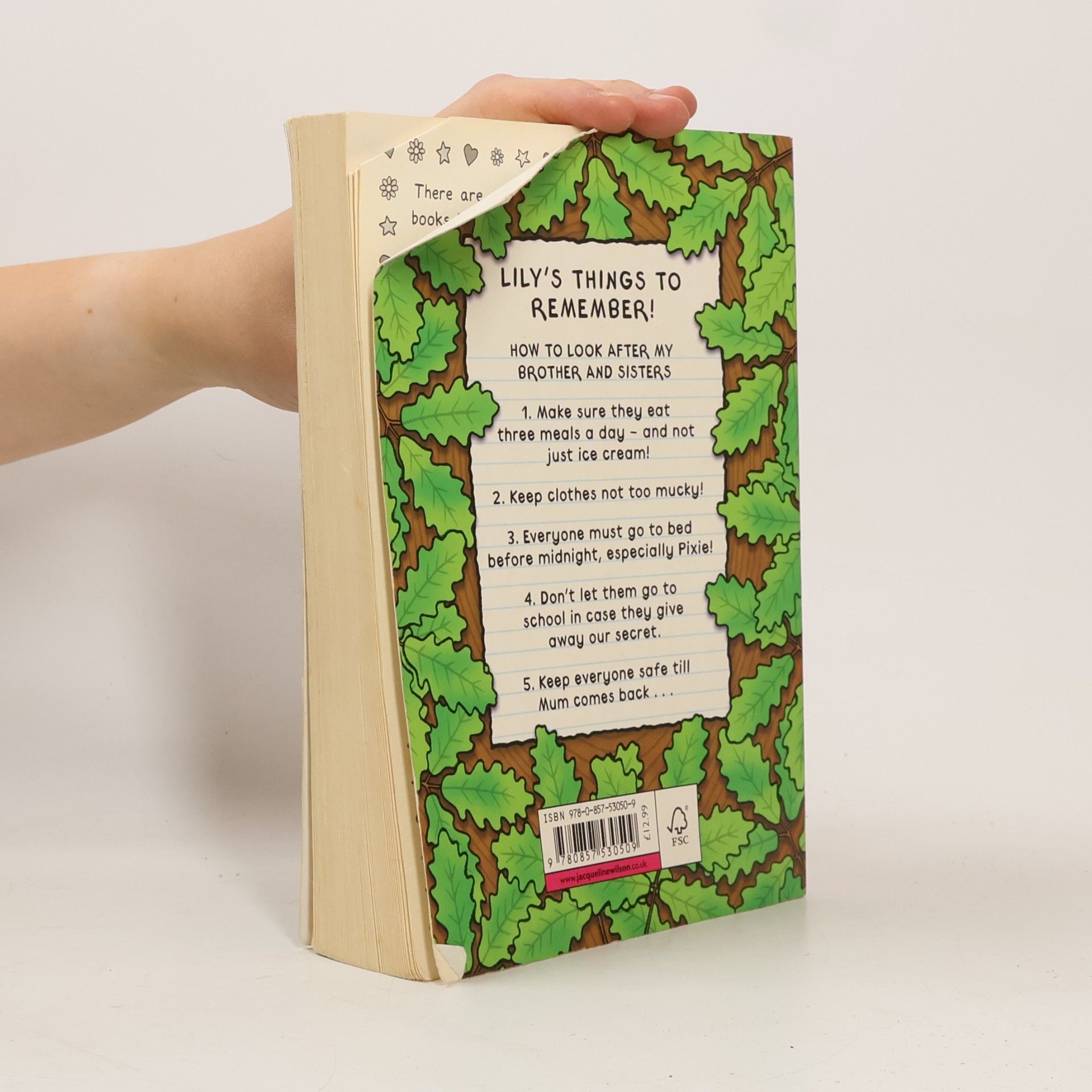 Jacqueline Wilson Lily Alone