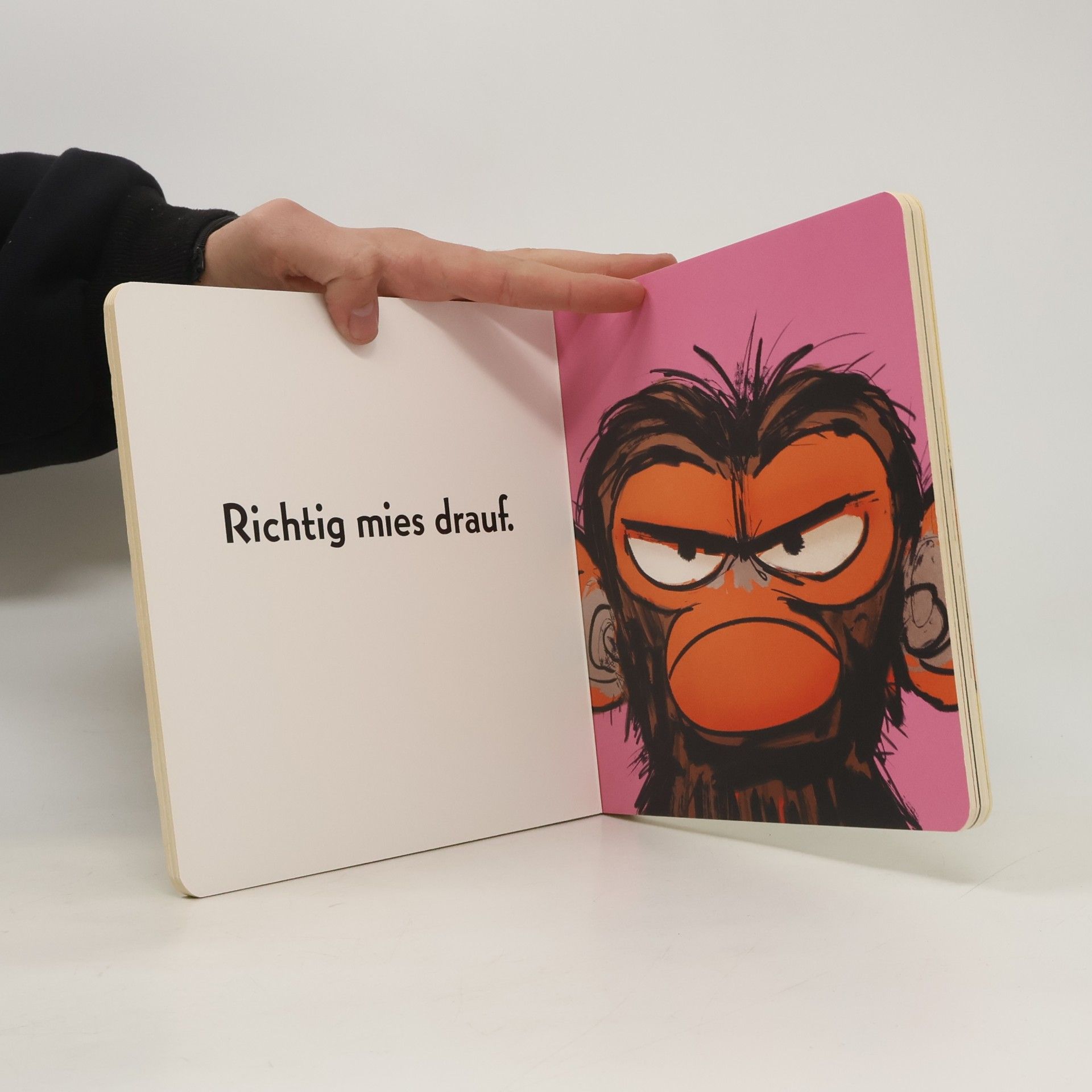 Susanne Lang Jims kleines Buch der miesen Laune
