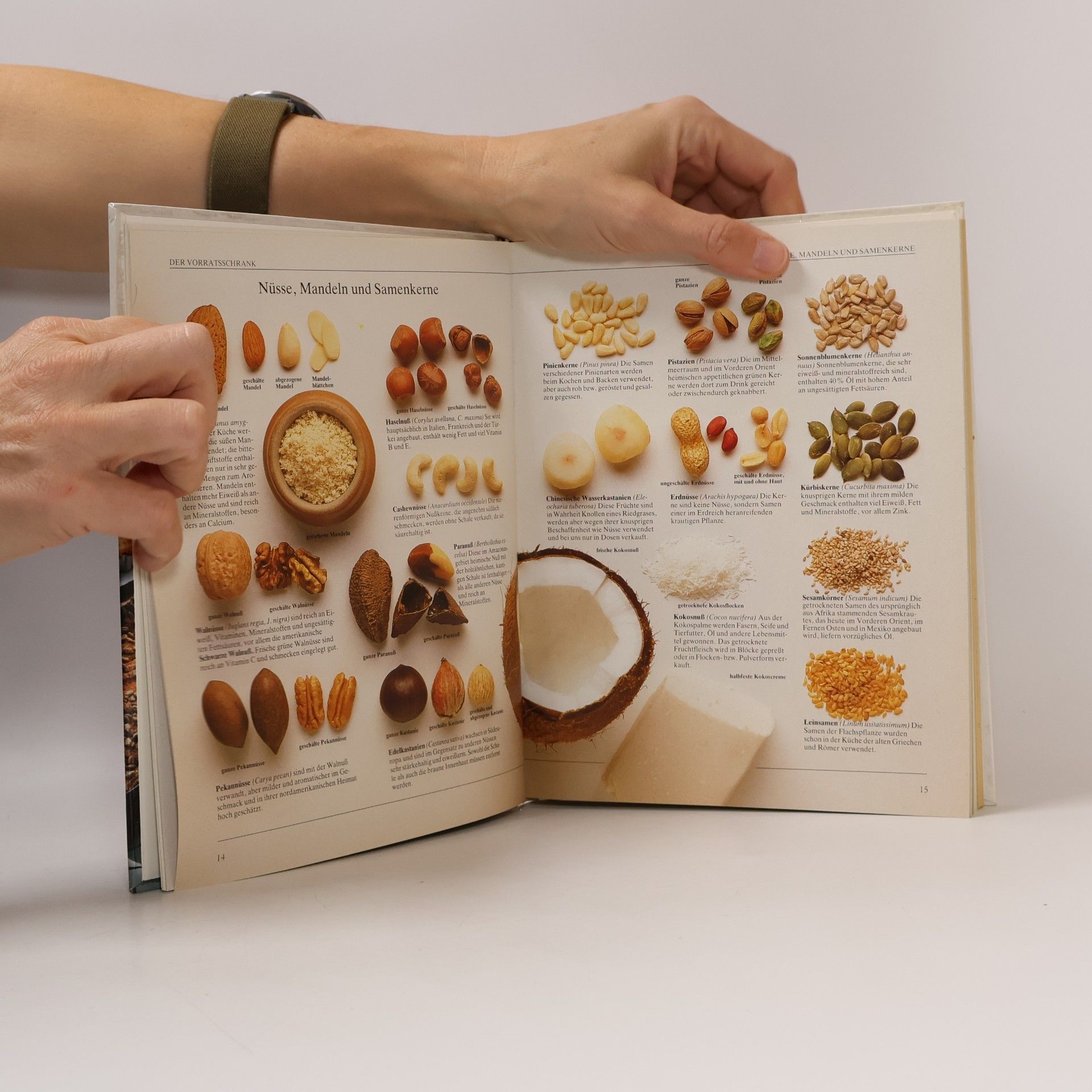 Sarah Brown Das vegetarische Kochbuch