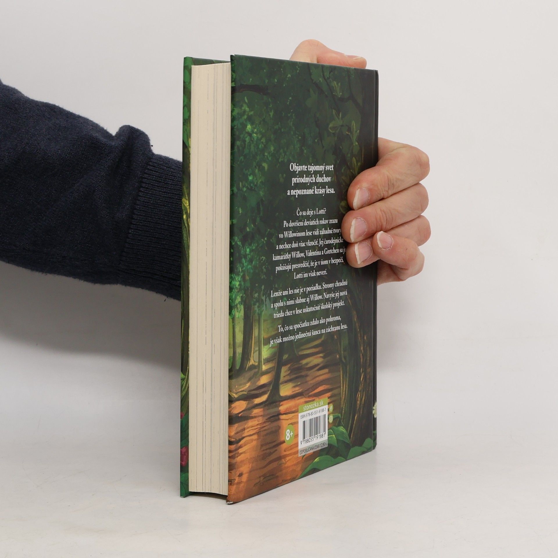 Sabine Bohlmann Dievča menom Willow 3: Šelest krídel