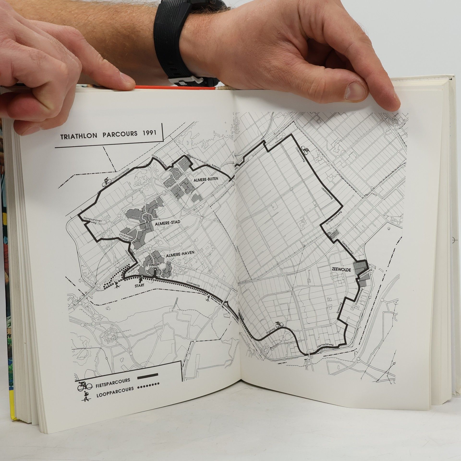 Hermann Aschwer Handbuch für Triathlon