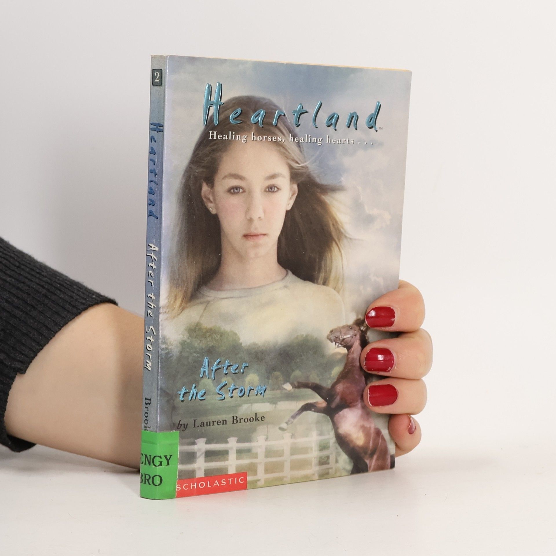 Heartland - 2: After the Storm