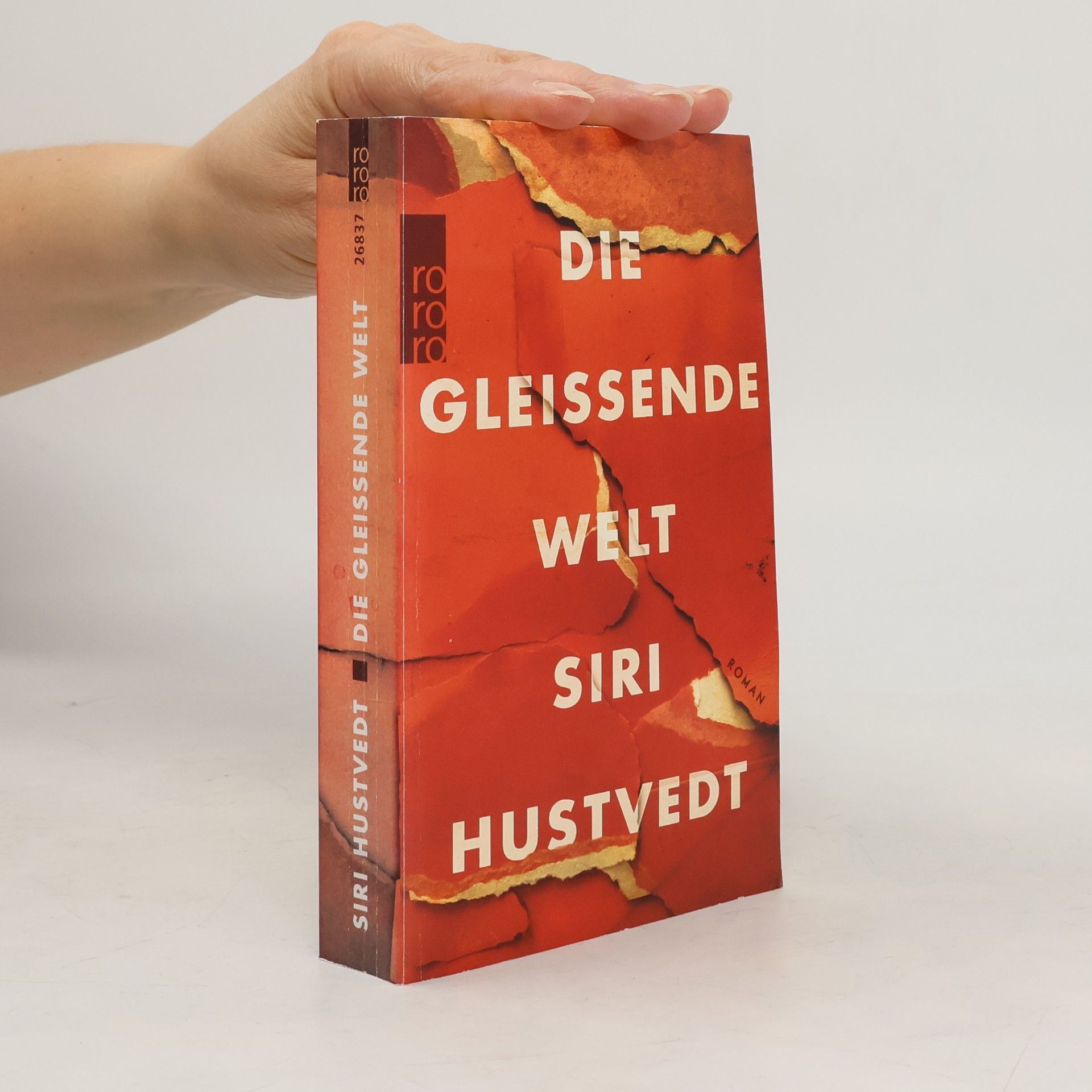 Siri Hustvedt Die gleißende Welt