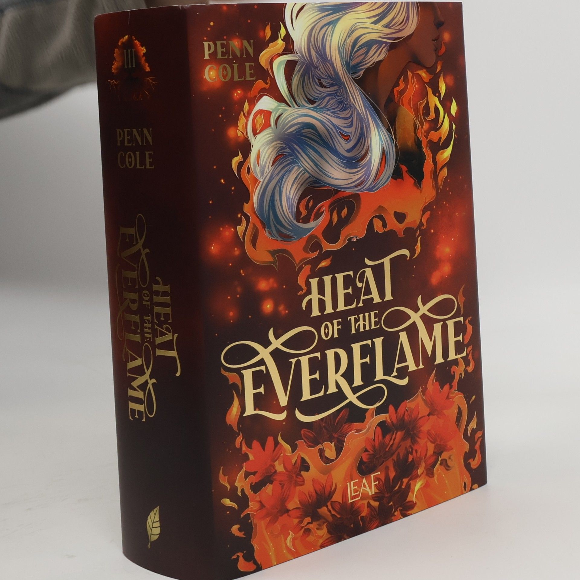 Heat of the Everflame / Kindred´s Curse Saga Bd.3