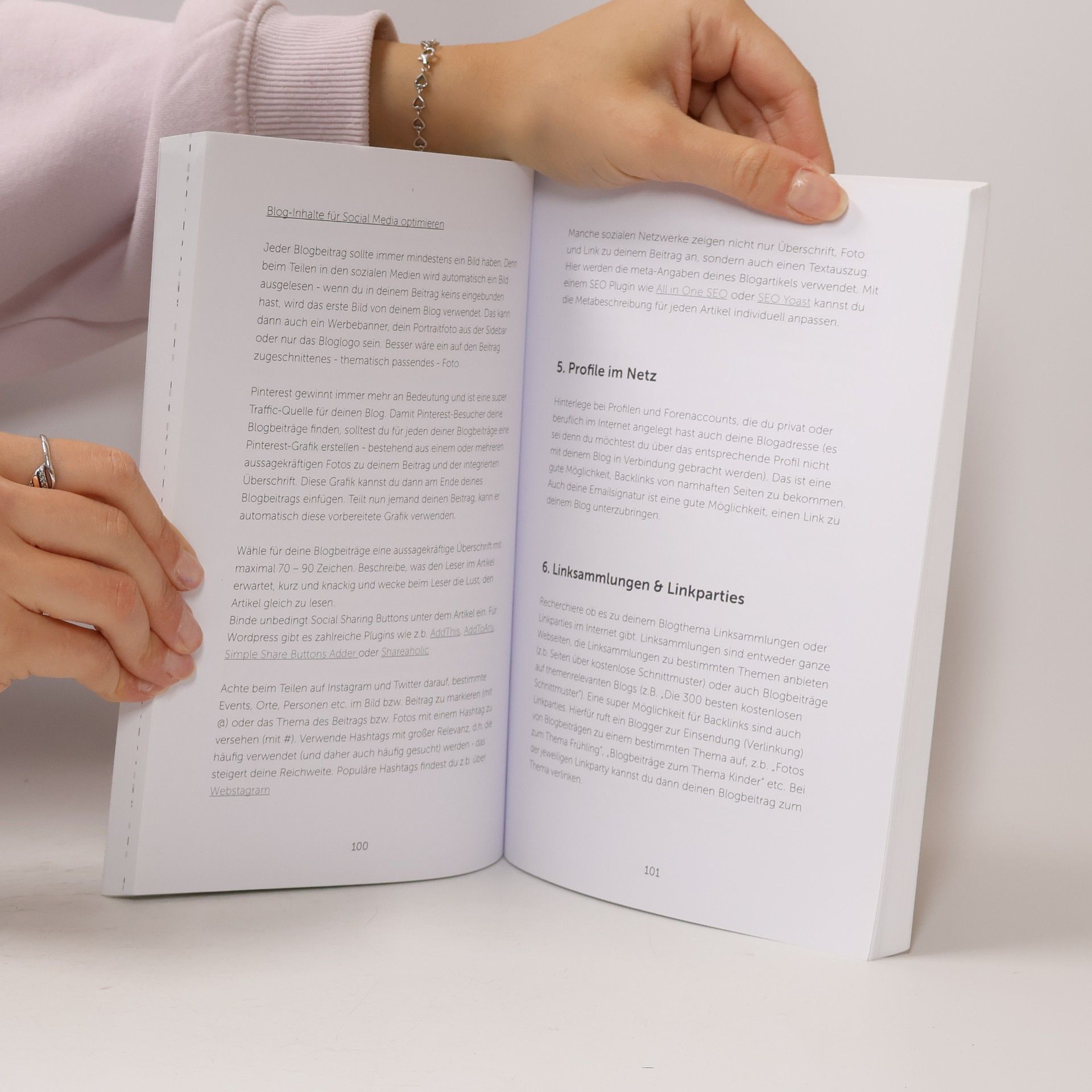 Julia Bräunig Die ultimative Blog-Bibel