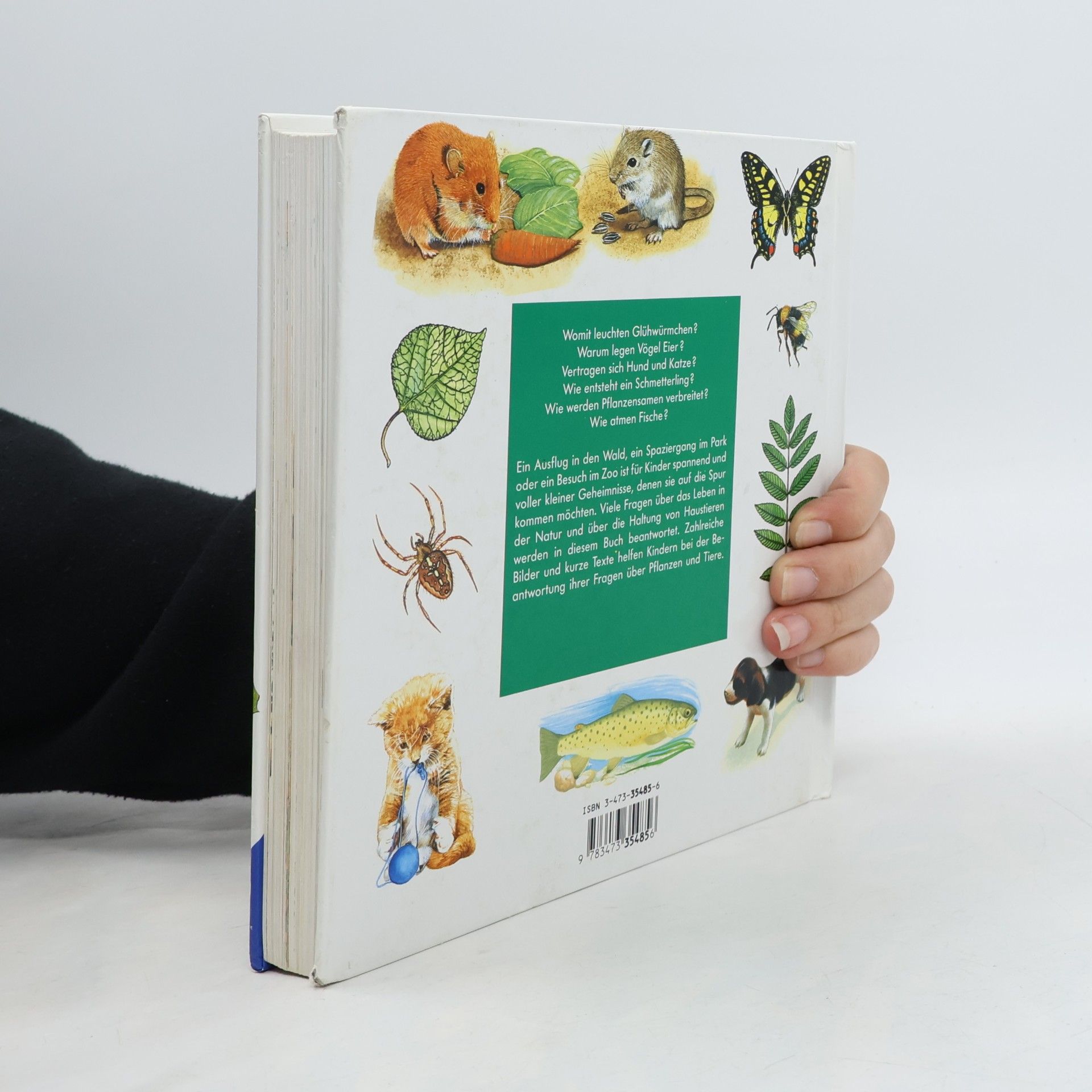 Ravensburger Buchverlag Alles was ich wissen will